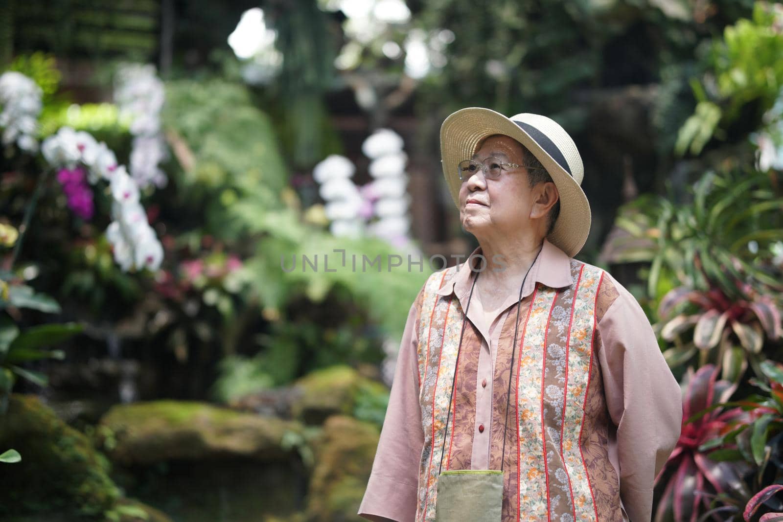 asian old elderly female elder woman resting relaxing in rose flower garden. senior leisure lifestyle