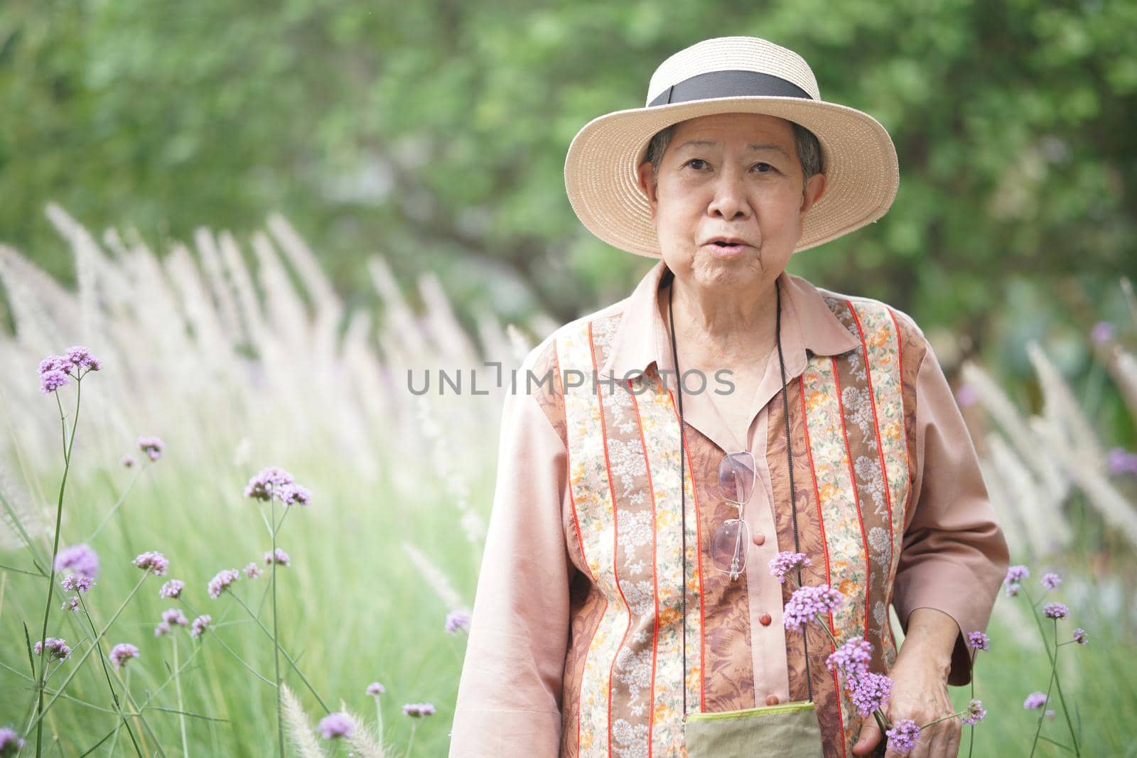 asian old elderly female elder woman resting relaxing in rose flower garden. senior leisure lifestyle