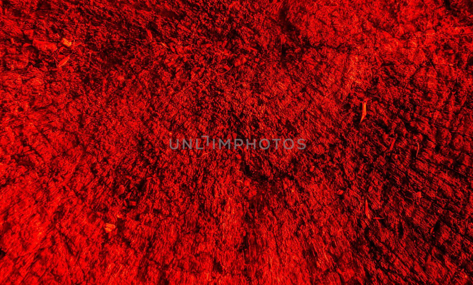 Red abstract texture background. Bright red background color. High quality photo