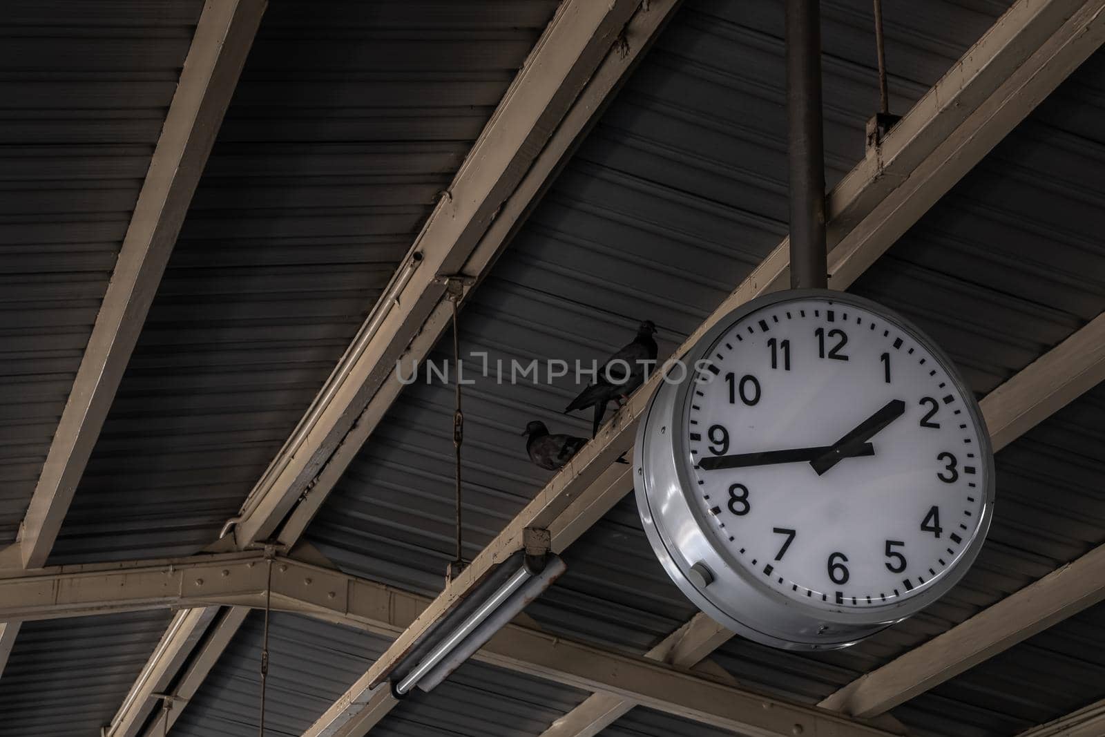 Clock or watch attach the pole under the roof, Beautiful big white clock or watch with line numbers is hanging under the roof of train station.