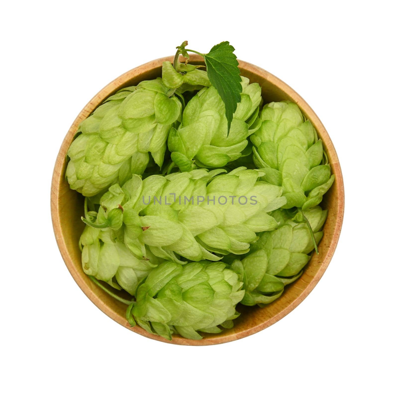 Close up one wooden bowl of fresh green hops isolated on white background, elevated top view, directly above