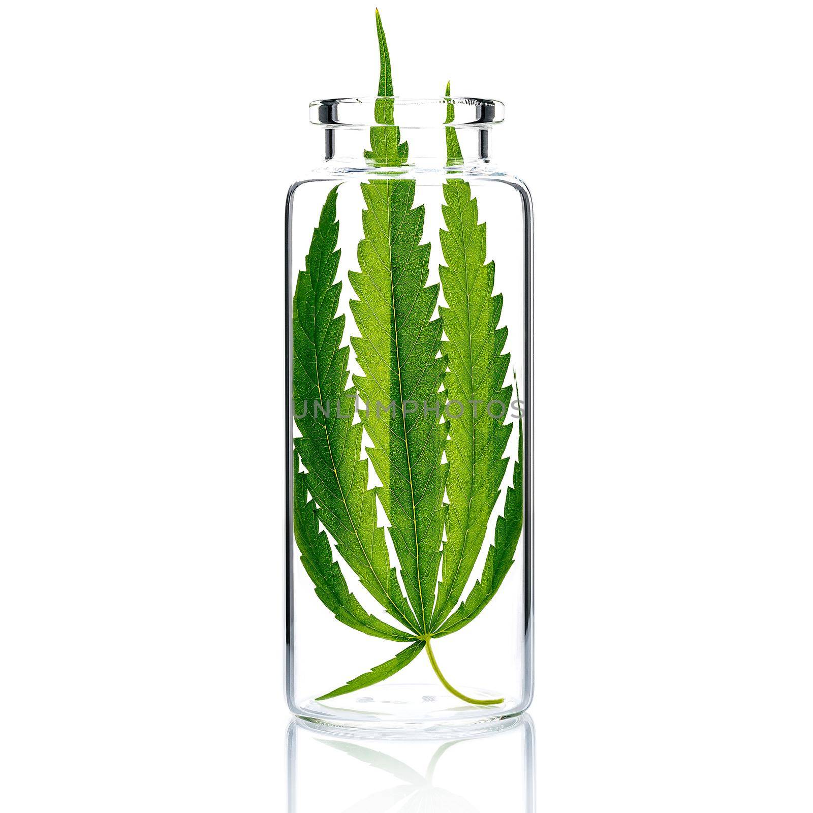 Hemp leaves in glass bottle  isolate on white background.
