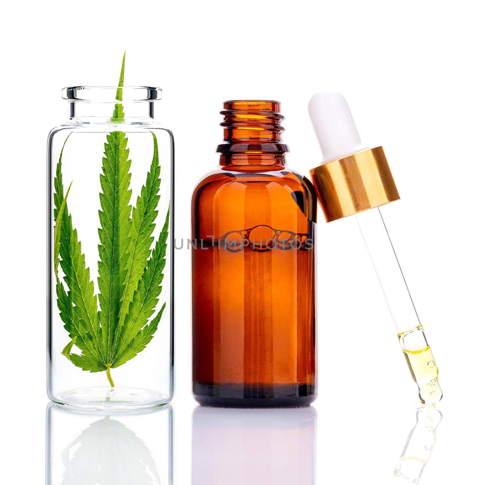 Green cannabis leaves with essential oil bottles and dropper oil  reflection isolated on white background. Marijuana hemp .
