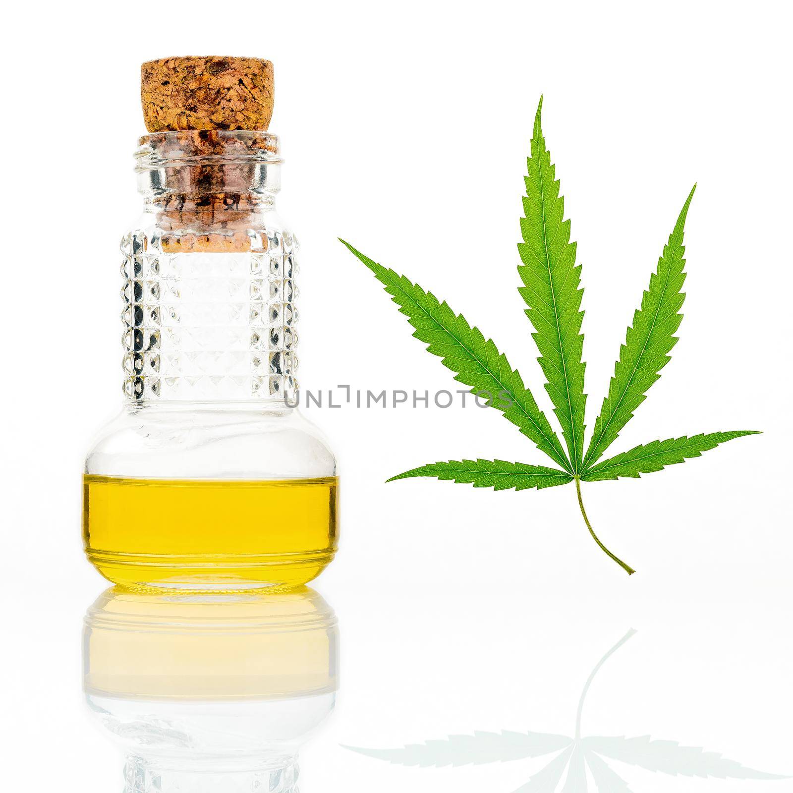 Green cannabis leaves with glass bottle of cannabis oil  reflection isolated on white background. Marijuana hemp .(Cannabis sativa or Cannabis indica) by kerdkanno