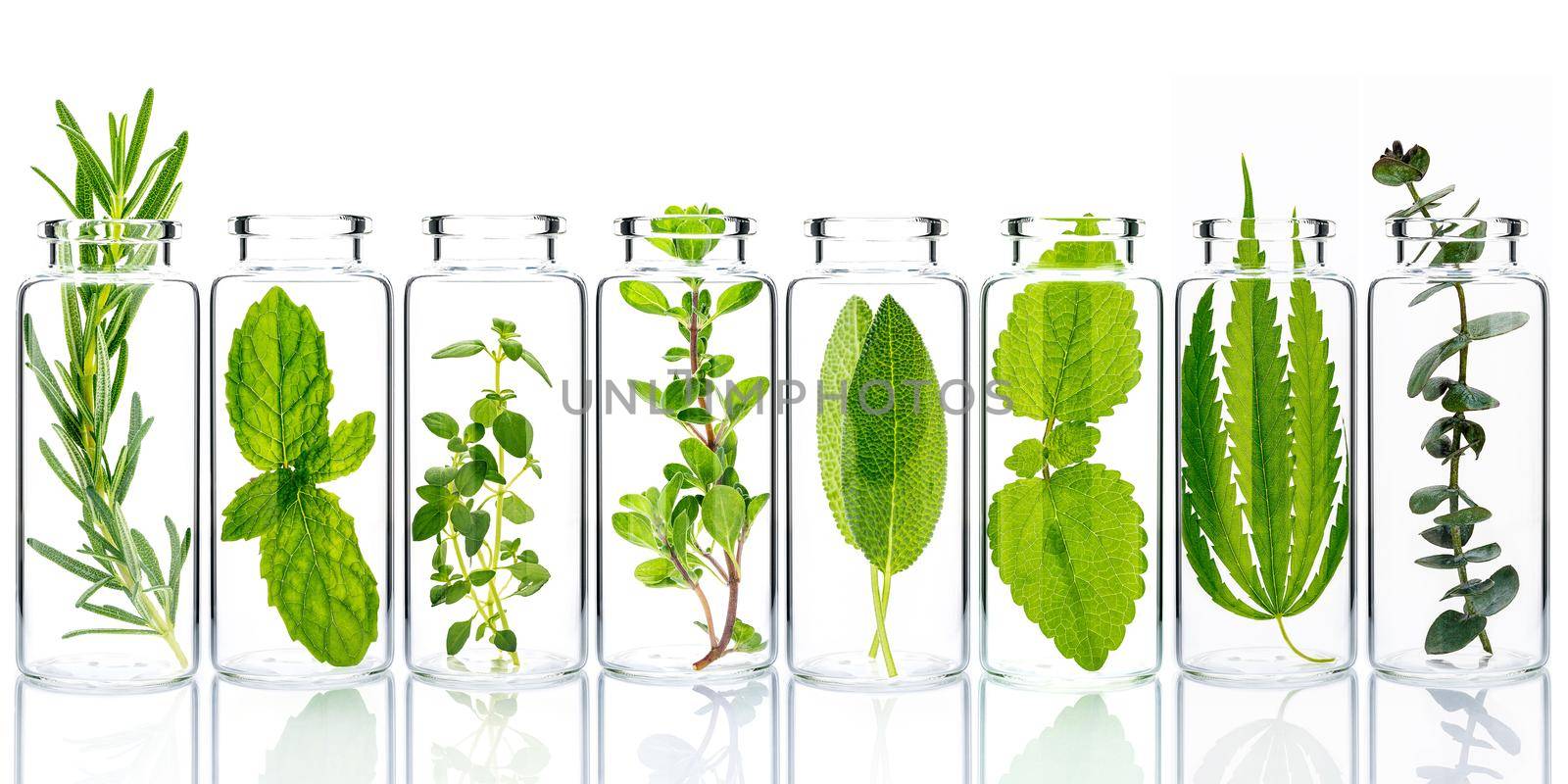 Bottle of essential oil with fresh herbs isolate on white background.