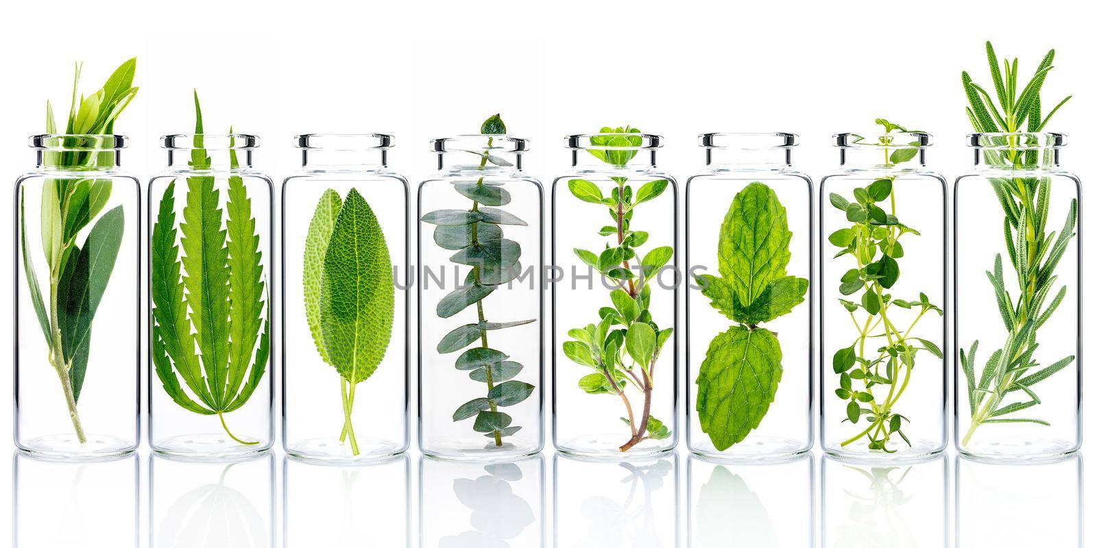 Bottle of essential oil with fresh herbs isolate on white background.