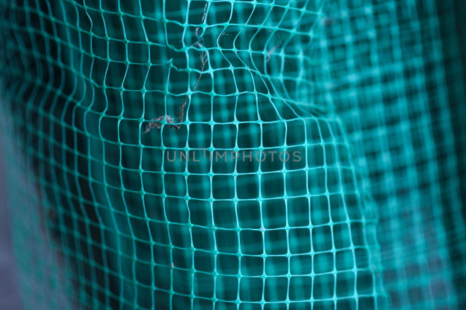 Curved green grid background. distorted deformed texture grid. Selective focus.