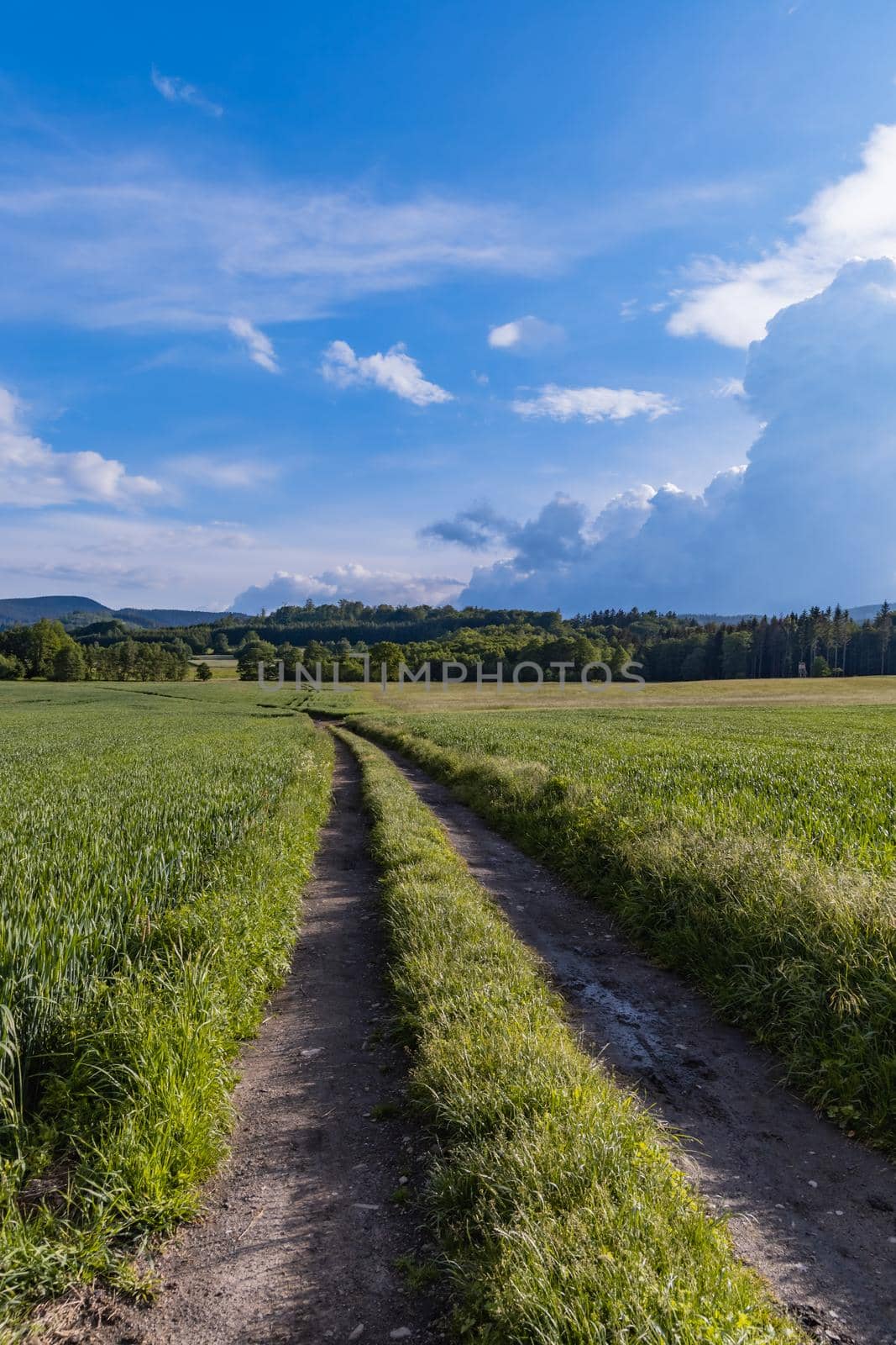 Long mountain trail with beautiful landscape in Rudawy Janowickie by Wierzchu