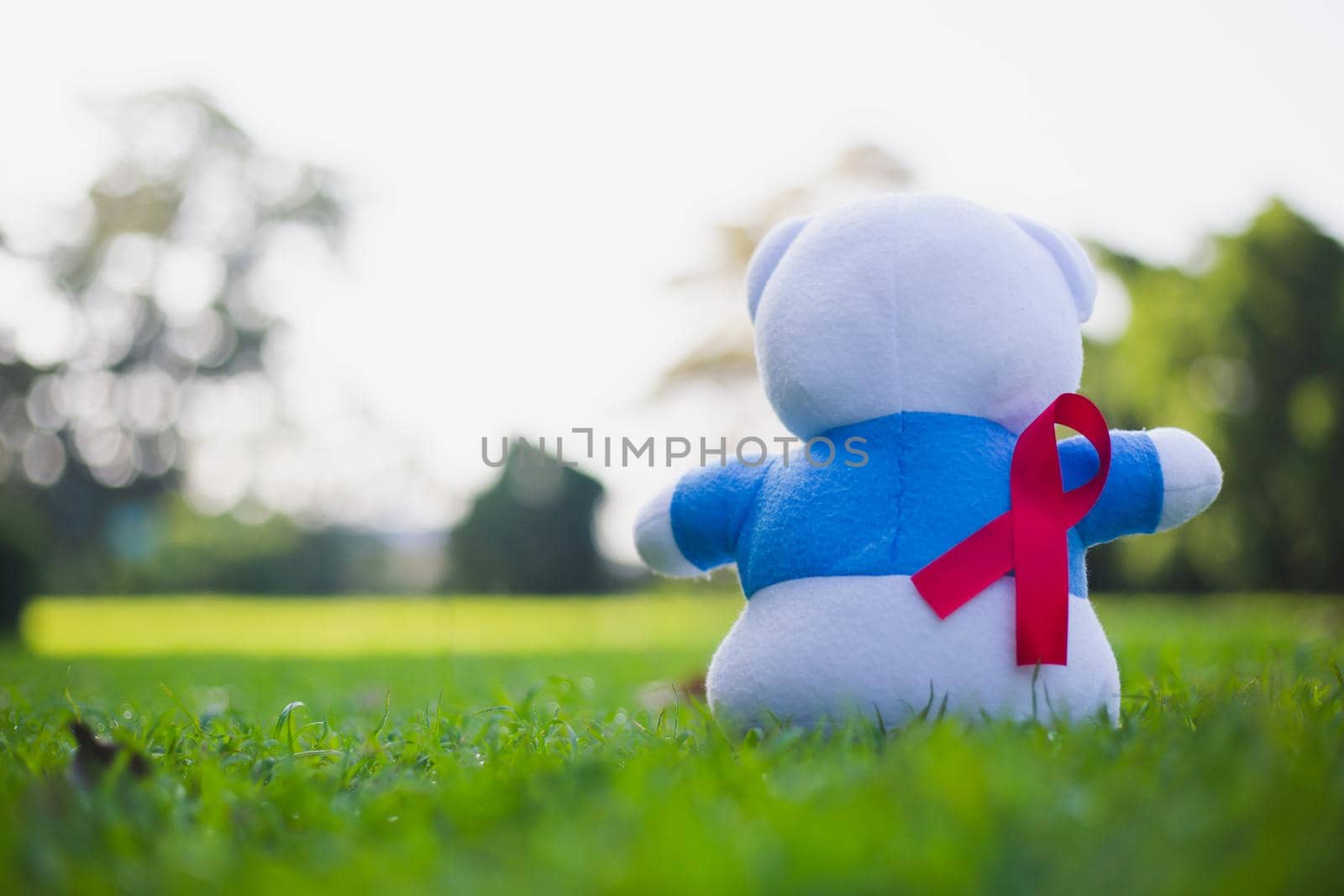 Aids Awareness Sign Red Ribbons  with toy bear on green grass. World Aids Day concept. The health, help, care, support, hope, illness, healthcare concept