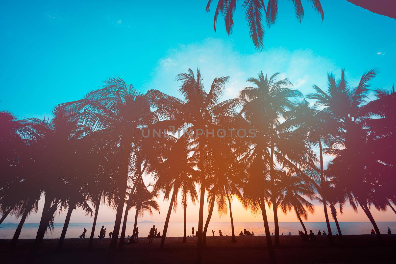 Coconut tree with sunset on the beach, Tropical beach. Take photo vintage filter