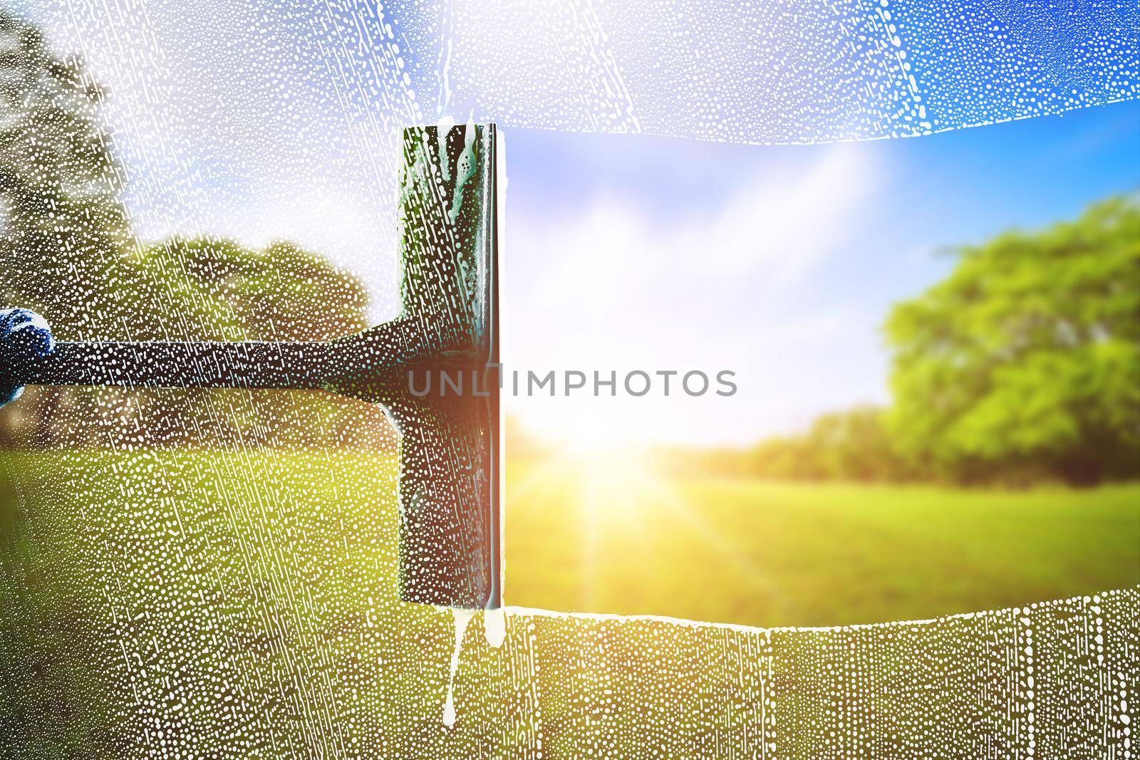 Window cleaner for washing a windows on green park background