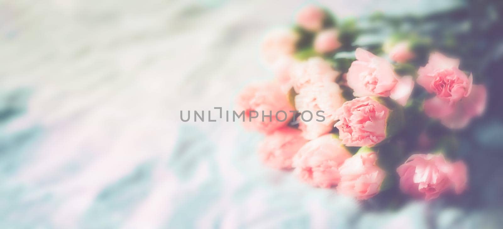 Carnation flowers soft blurred  by Wasant