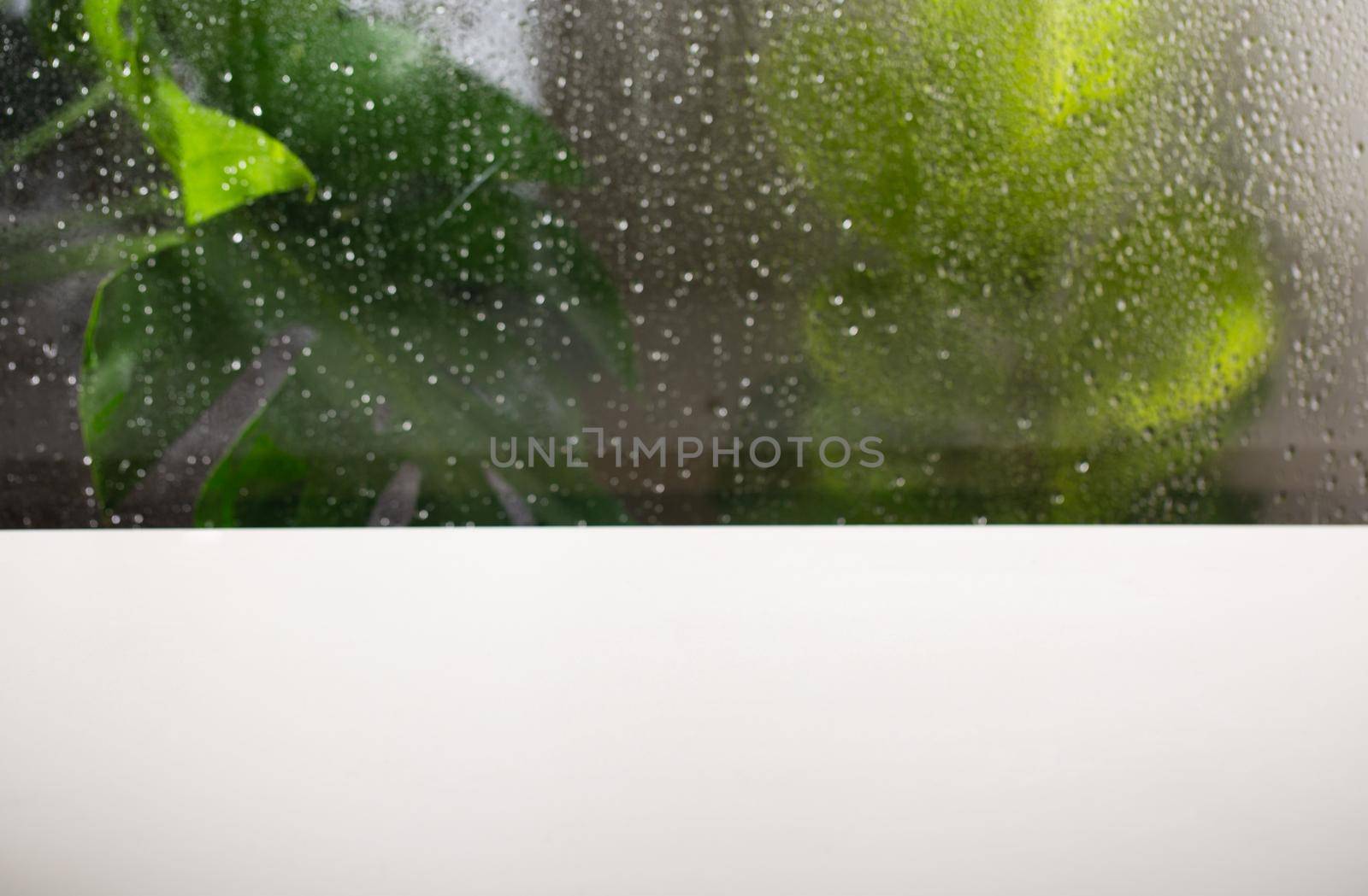 White table near window on rainy day with tropical plant