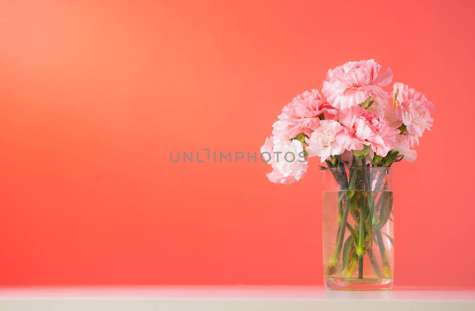 Carnation flowers in glass vase on Lush Lava color background
