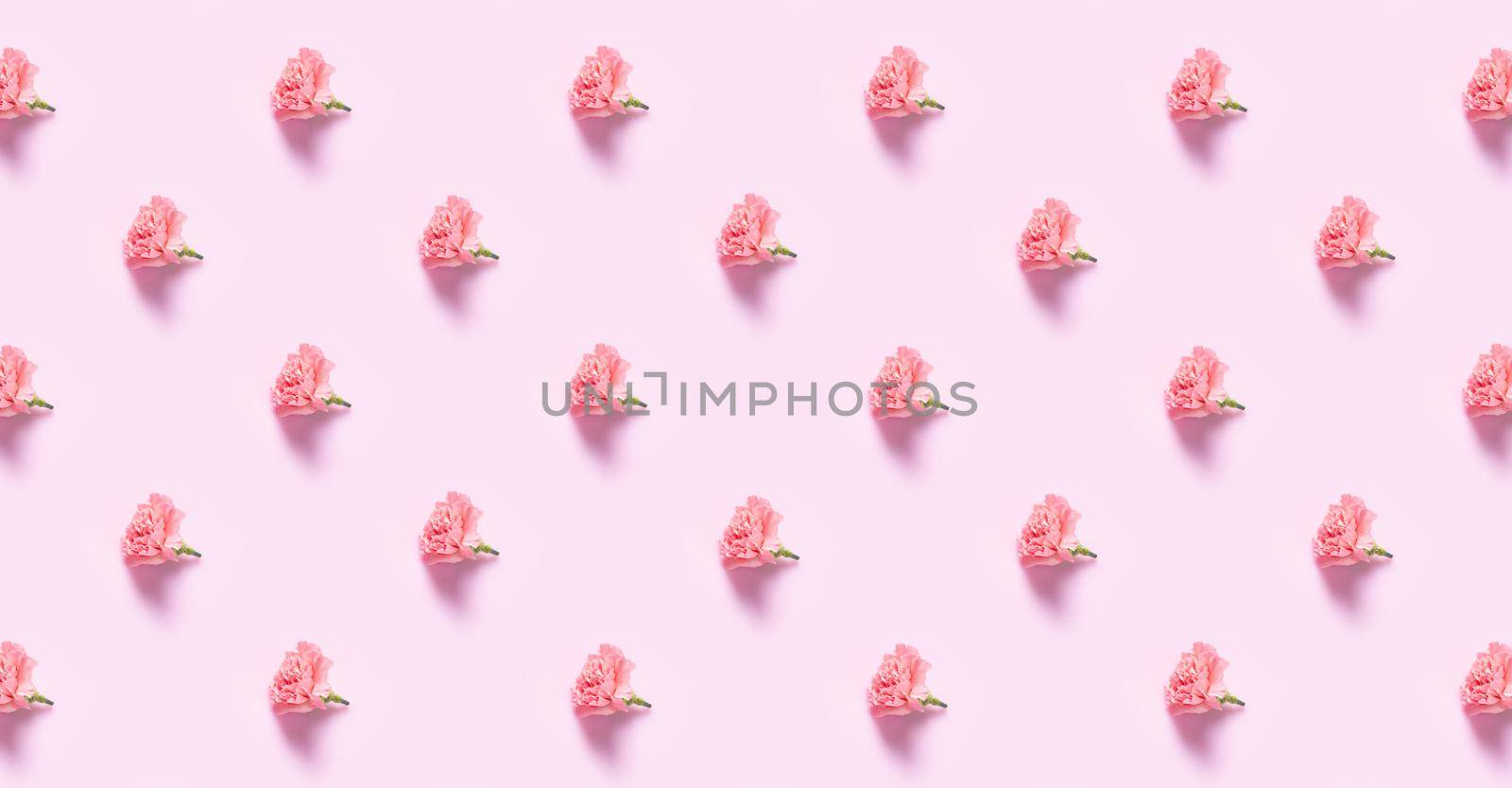 Minimalist flat lay with Carnation flowers for Mother's Day, Valentines Day background design concep, Pattern Background