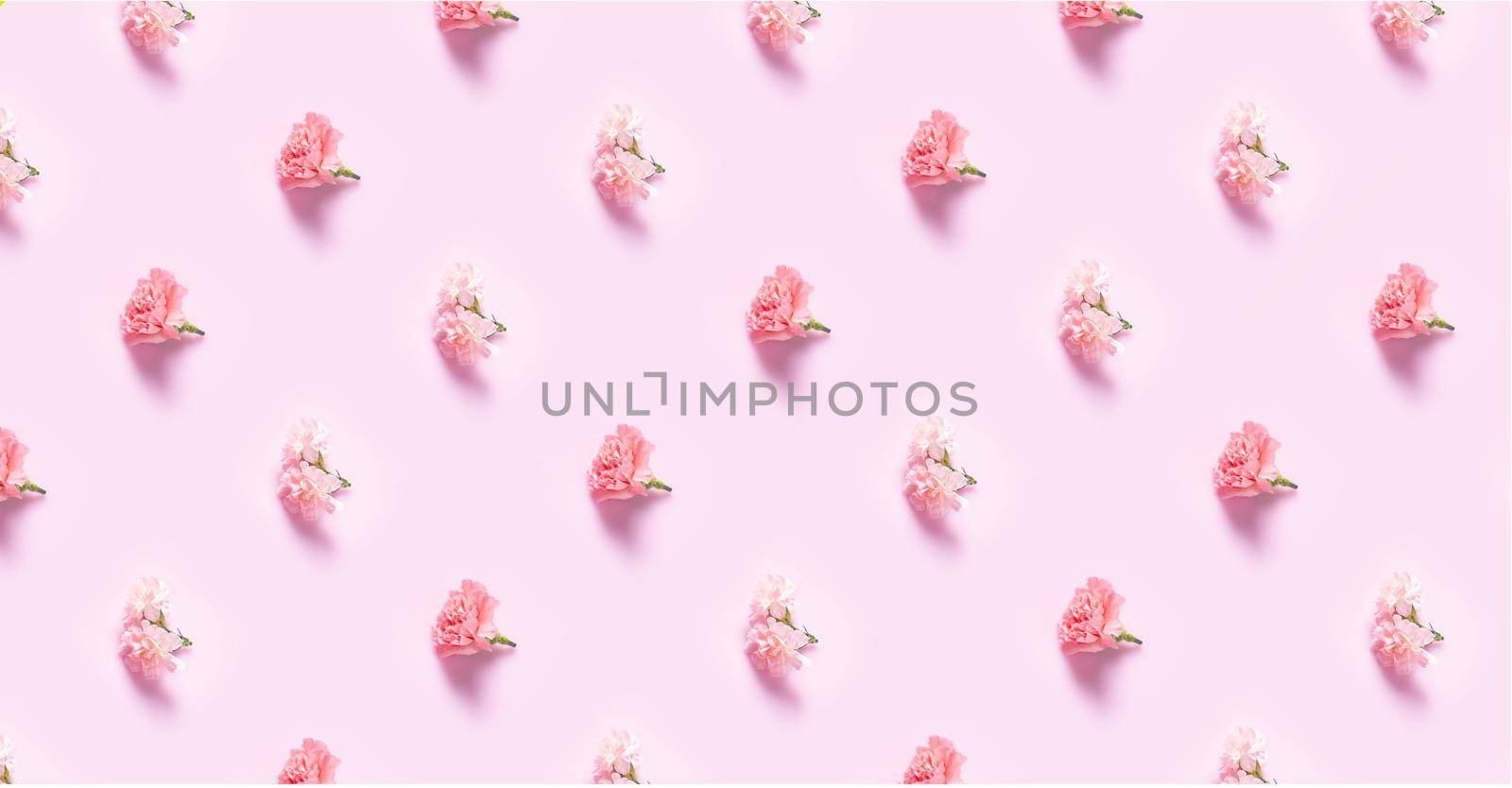 Minimalist flat lay with Carnation flowers for Mother's Day, Valentines Day background design concep, Pattern Background