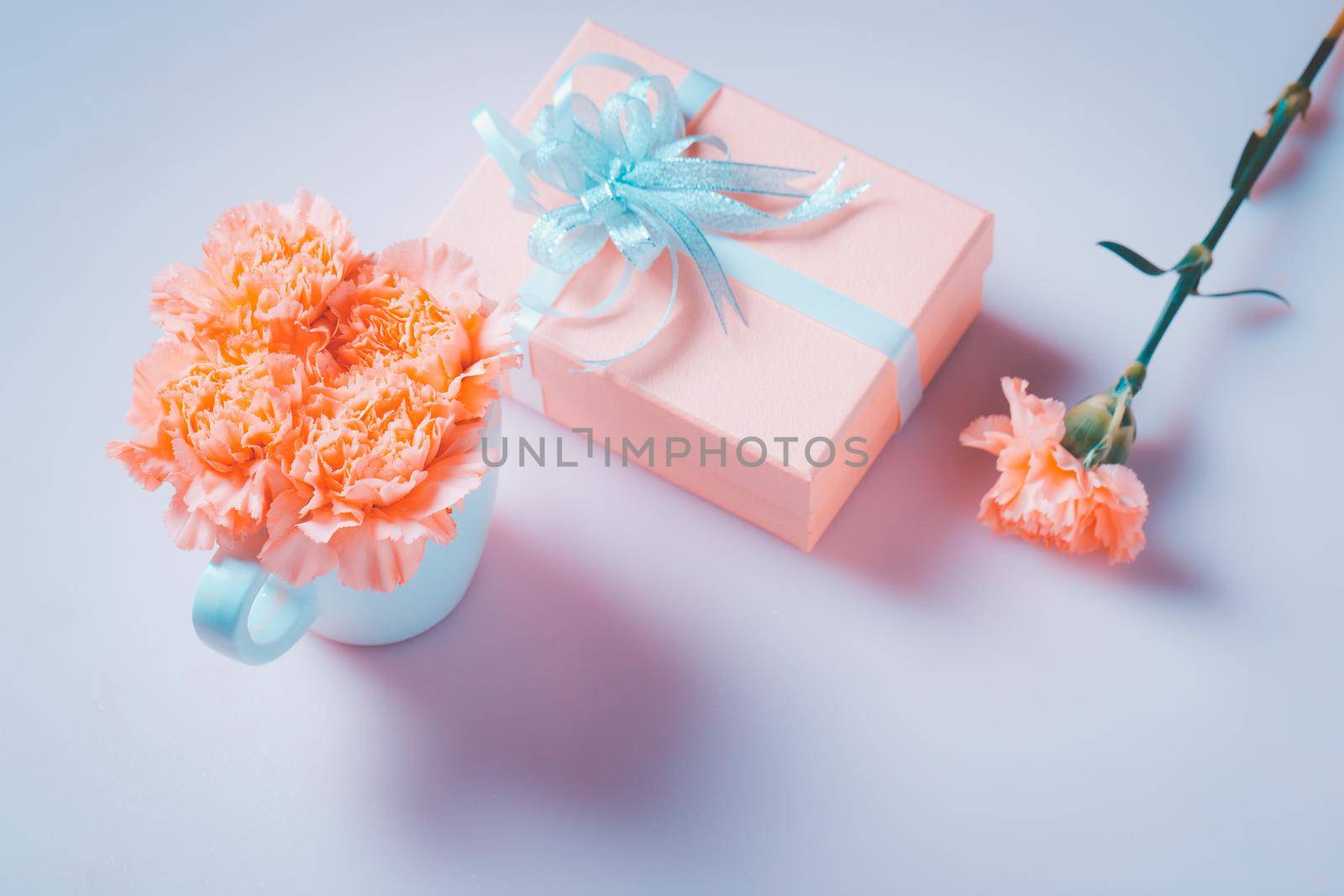 Carnation with gift box by Wasant