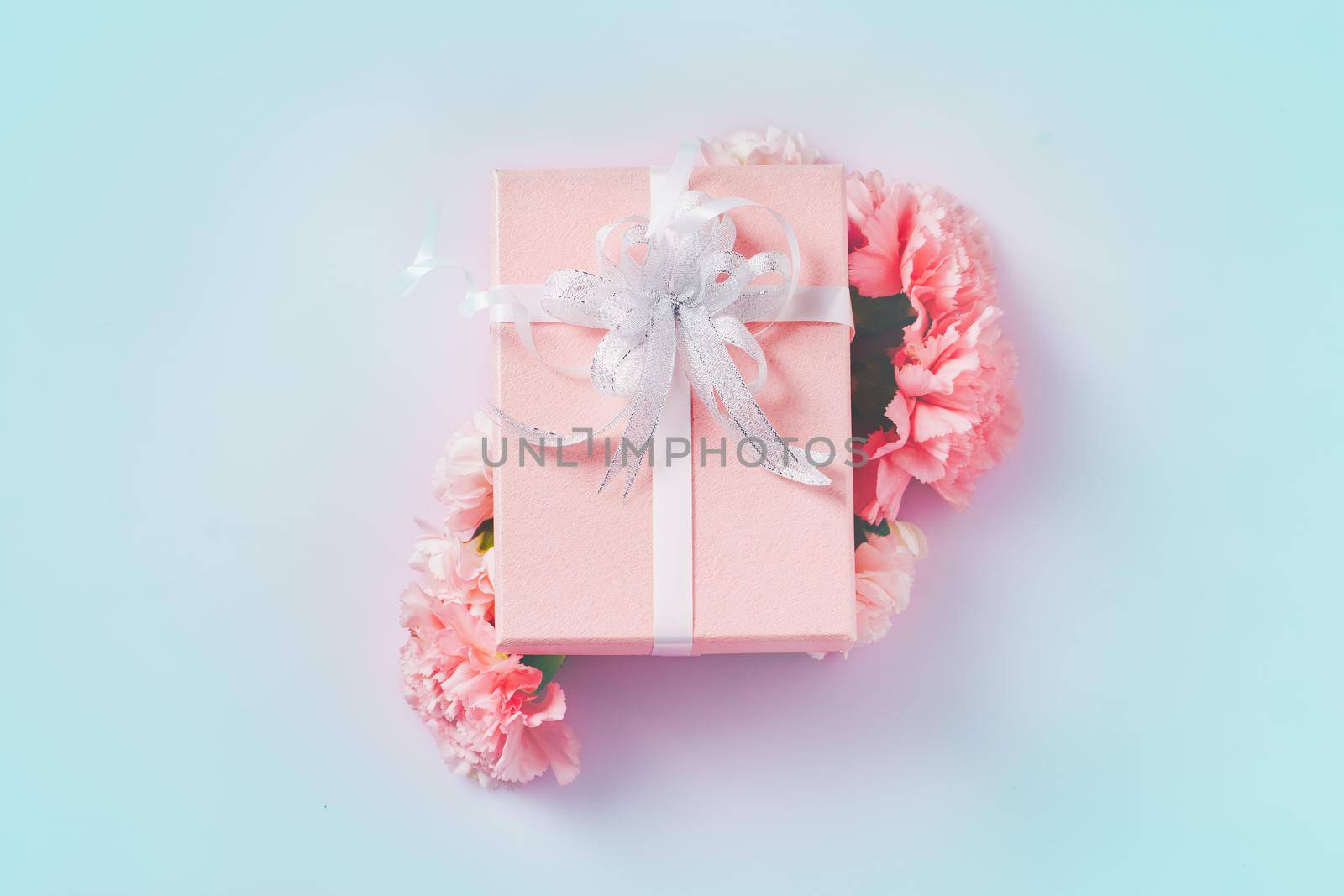 Carnation with gift box.  Mother Day concept, Sweet filter