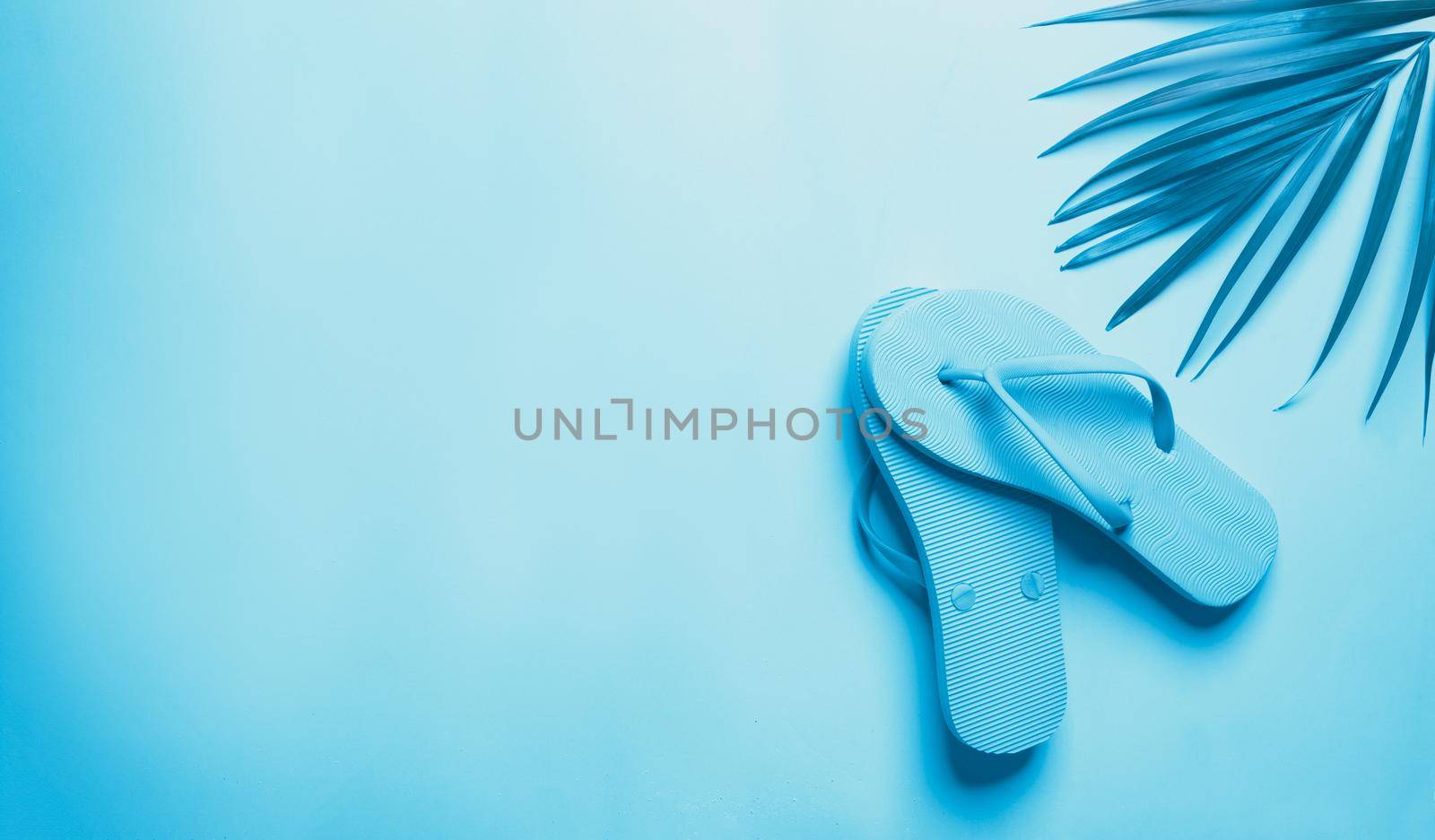 Summer concept of flip flop with palm leaf, Monotone blue color filter