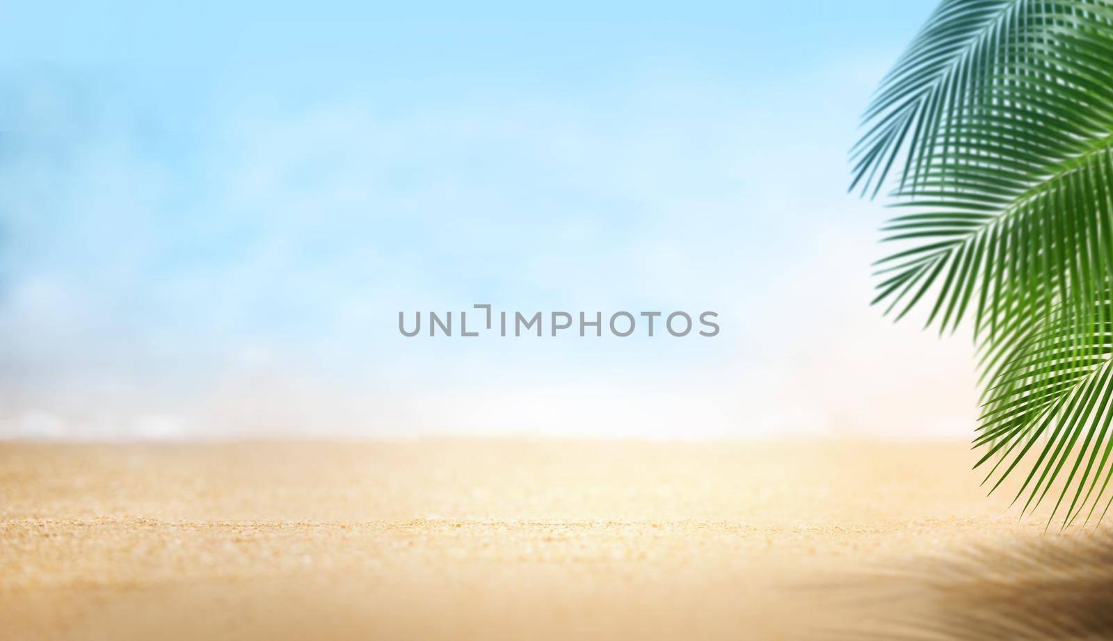 Sand beach beautiful with palm leaves, Summer on the beach concept, Empty background