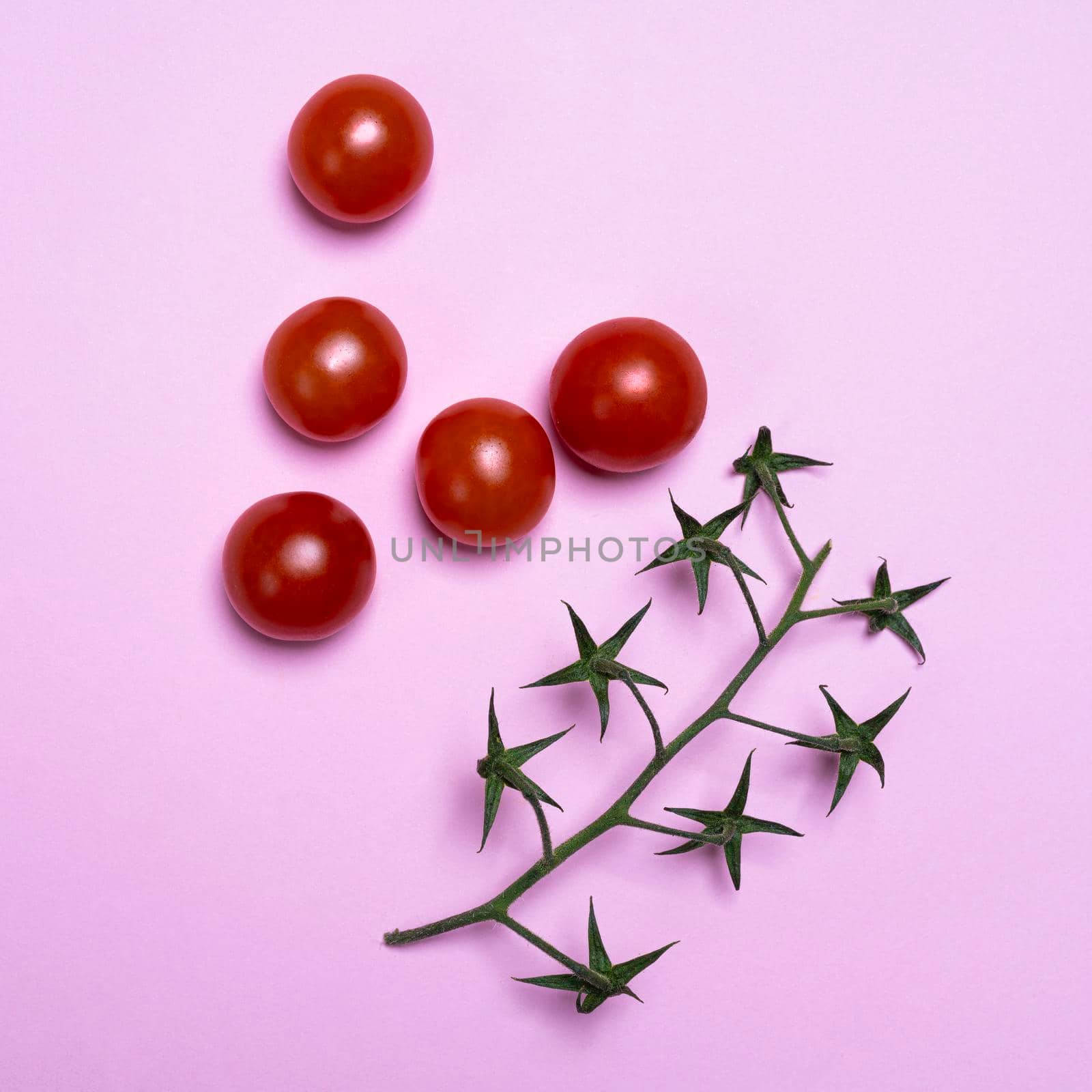 composition formed with some small Pachino tomatoes on a pink surface