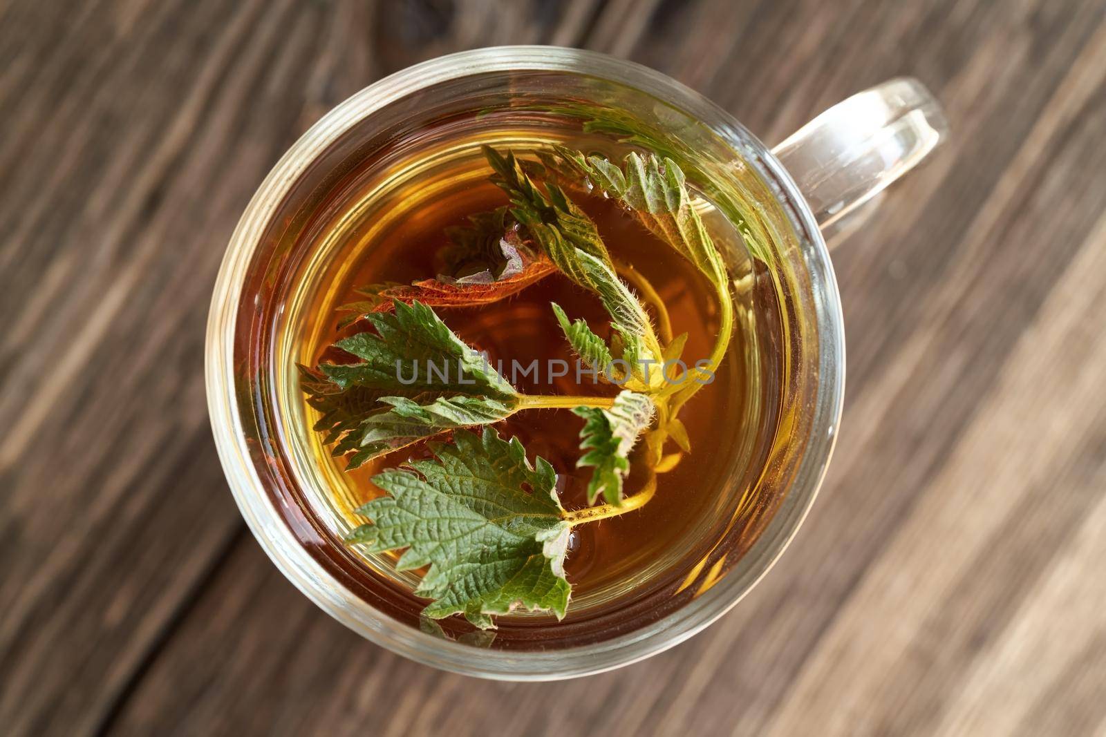 Fresh nettles in a cup of herbal tea by madeleine_steinbach