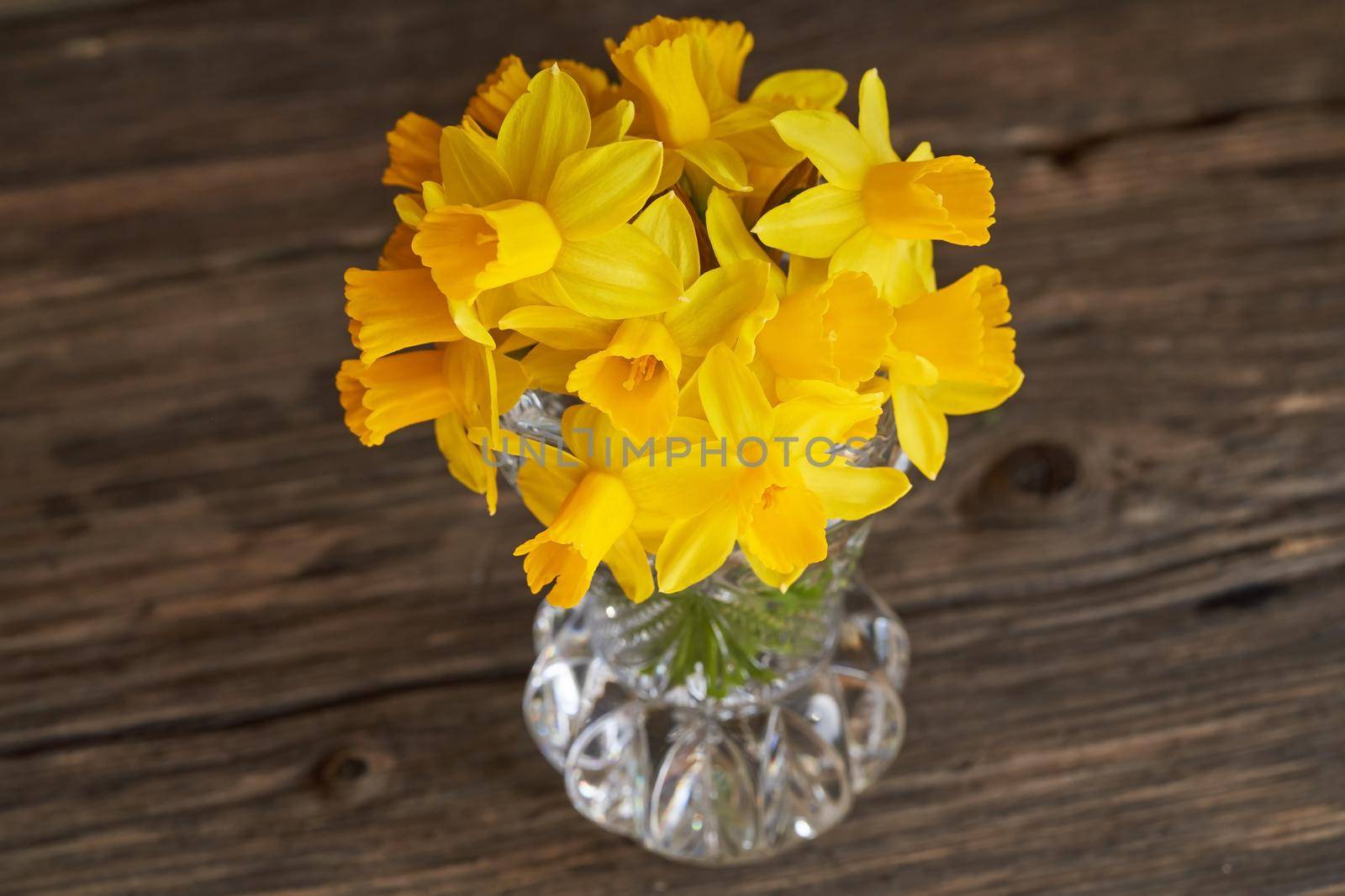 Fresh daffodil flowers in a vase on dark wooden table by madeleine_steinbach