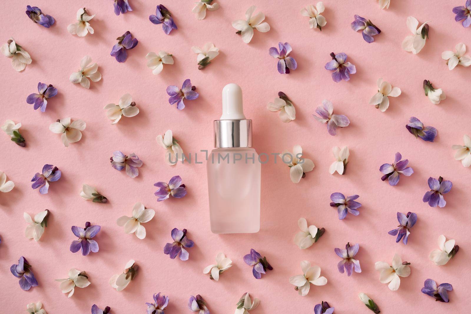 A bottle of essential oil on pastel pink paper background with fresh wood violet flowers. Spring concept