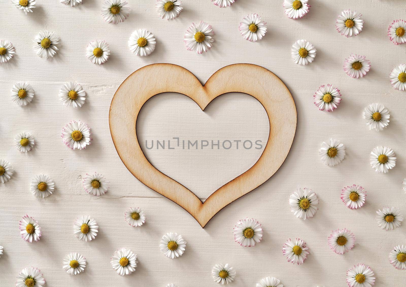 Wooden heart with common daisy flowers on a white background - spring concept with copy space