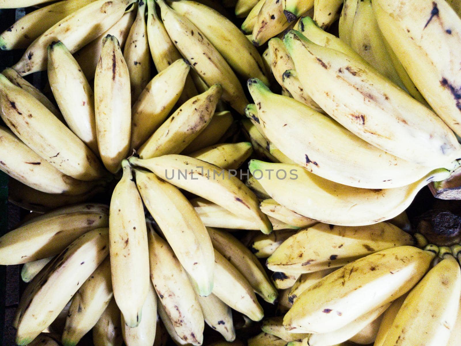 Bananas island background, yellow color, concept photo for kitchen decoration