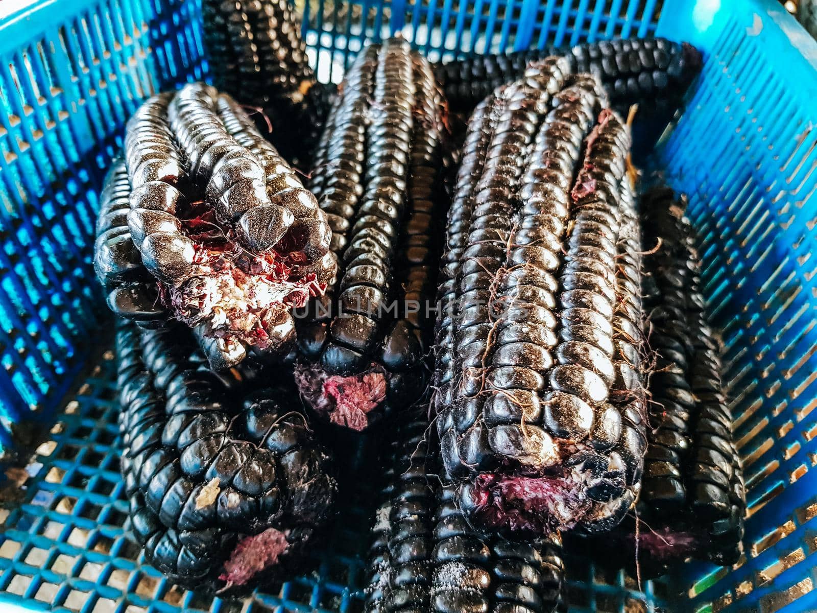 Purple corn cobs in a plastic basket in the market