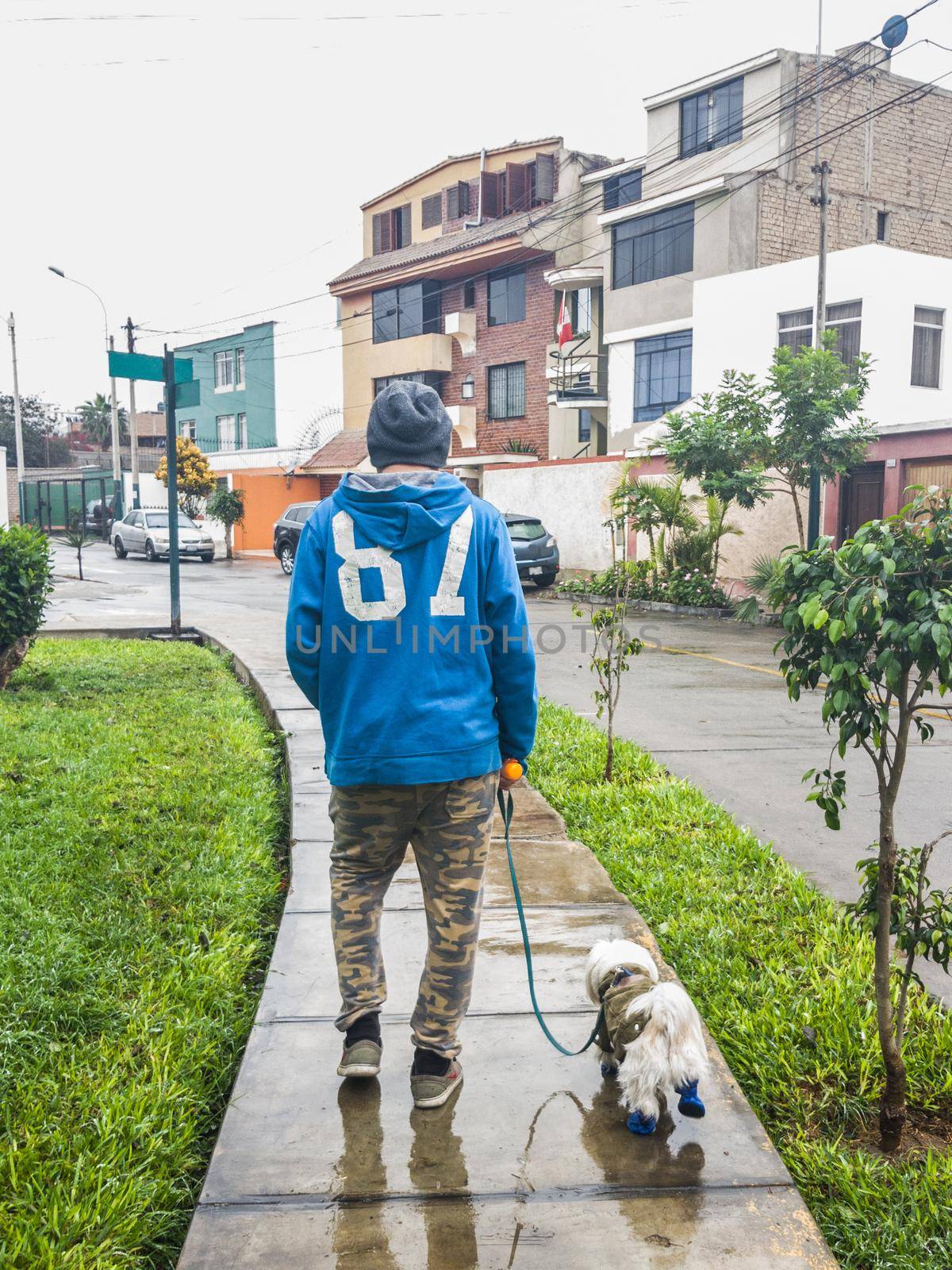 Man and small dog walking on the sidewalk of a park