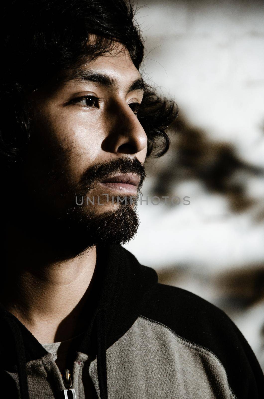 Portrait of young man with beard wearing shirt and shades of trees in the park