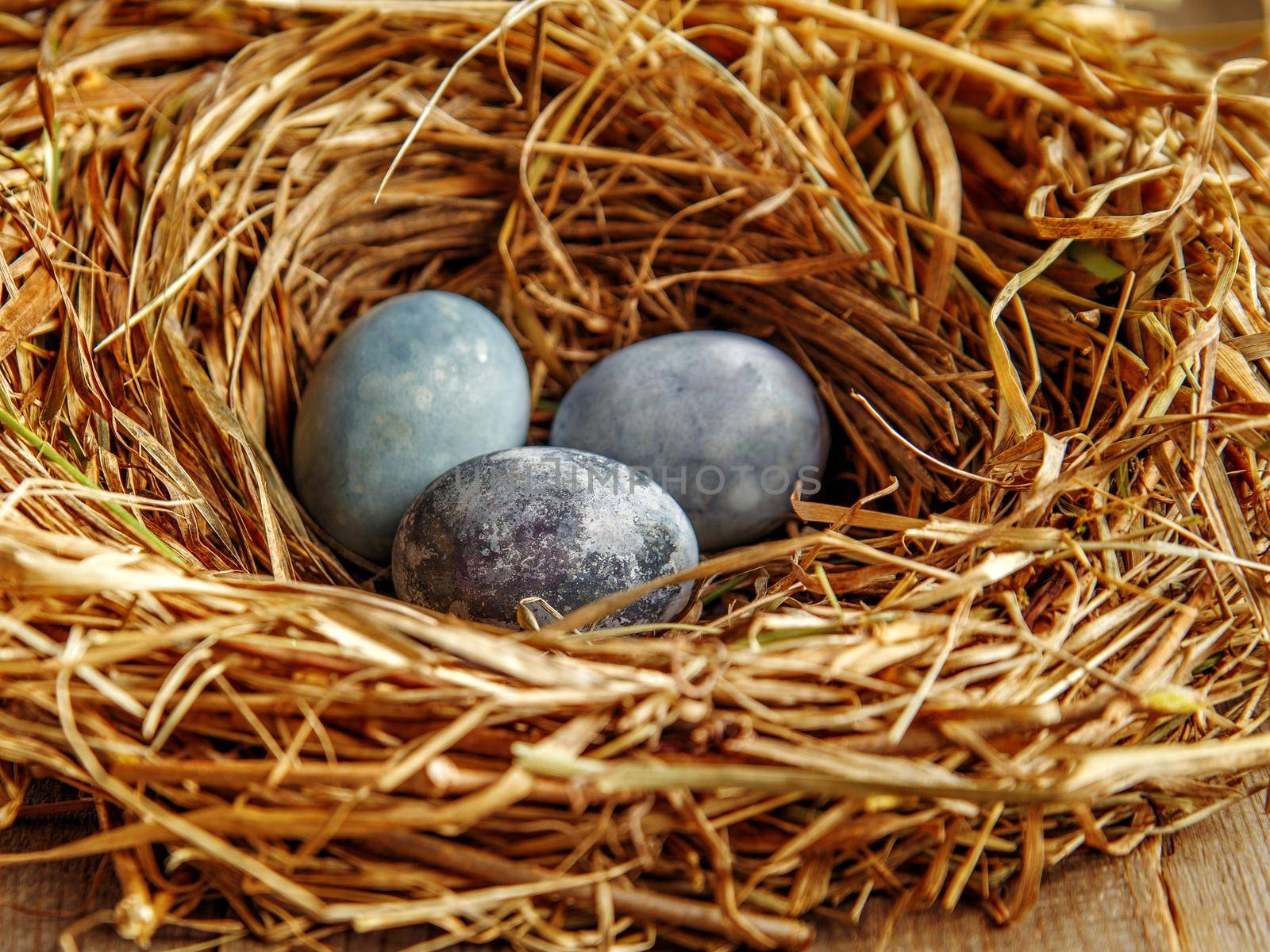 Painted chicken eggs in nest of dry grass.