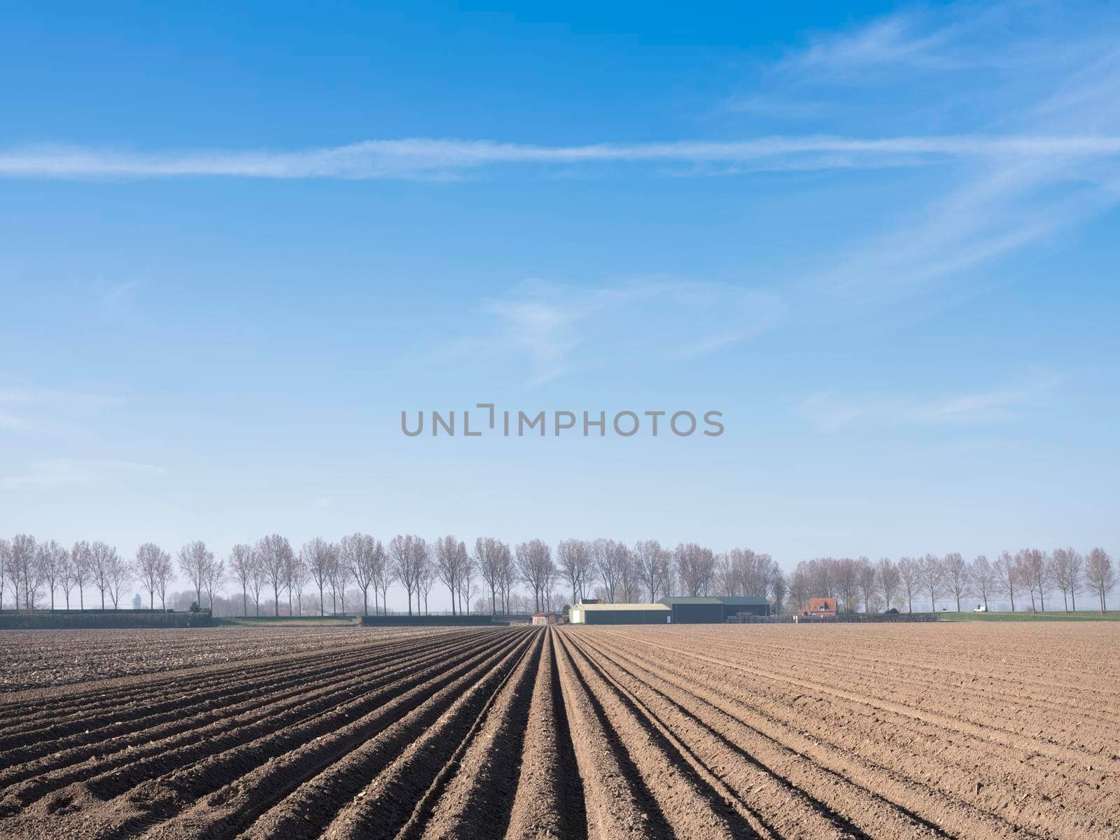 freshly plowed field and farm early spring in the netherlands on the island of goeree en overflakkee