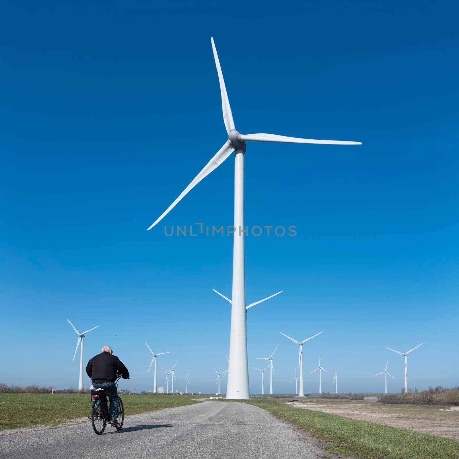 wind turbines under blue sky on philipsdam in dutch province of Zeeland in the netherlands in the netherlands with bicycle