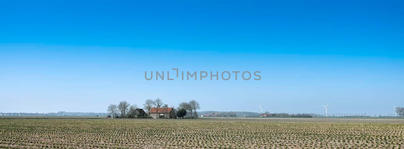 house and agricultural fields in dutch province of zeeland under blue sky early spring in the netherlands