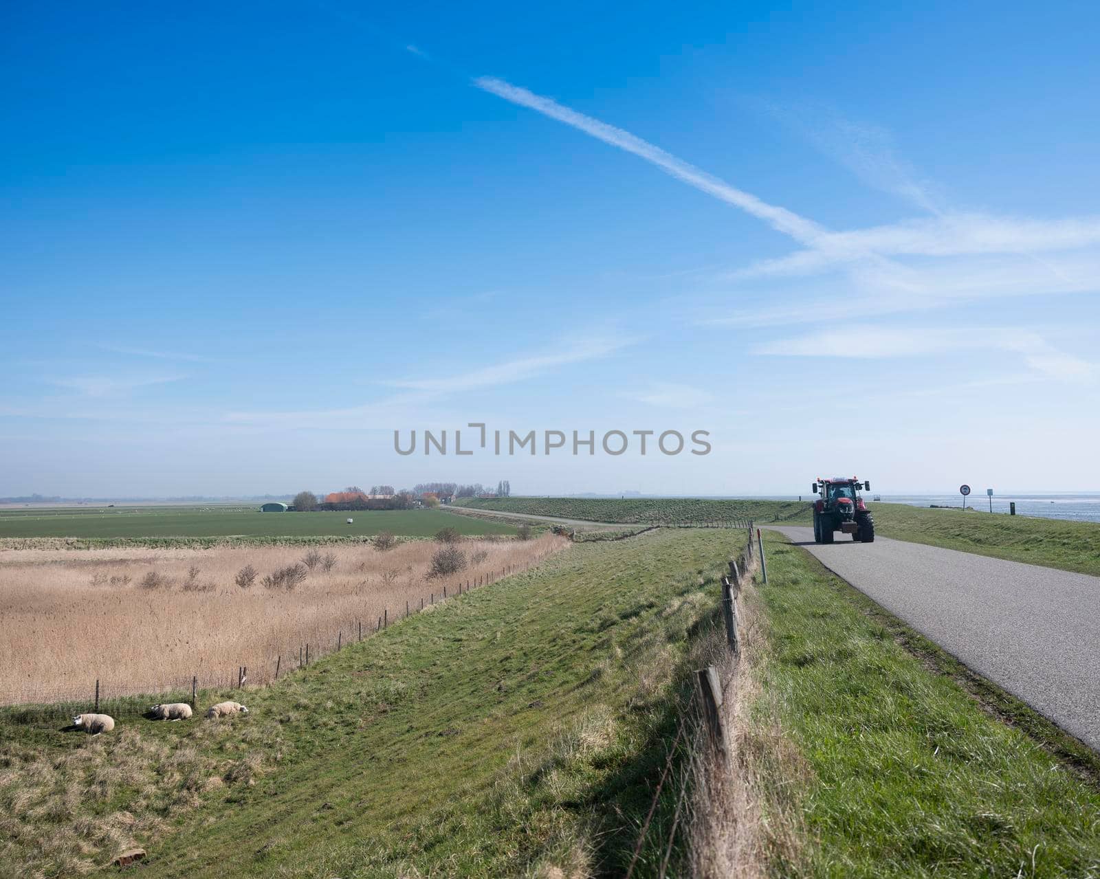 tractor on dyke in countryside landscape under blue sky on schouwen duiveland in dutch province of zeeland