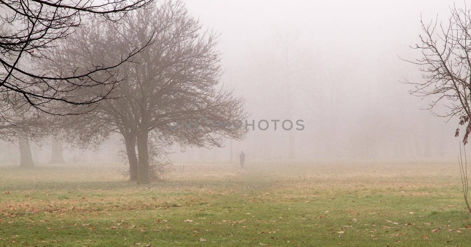 Wide-shot of a man walking in a park on a foggy day