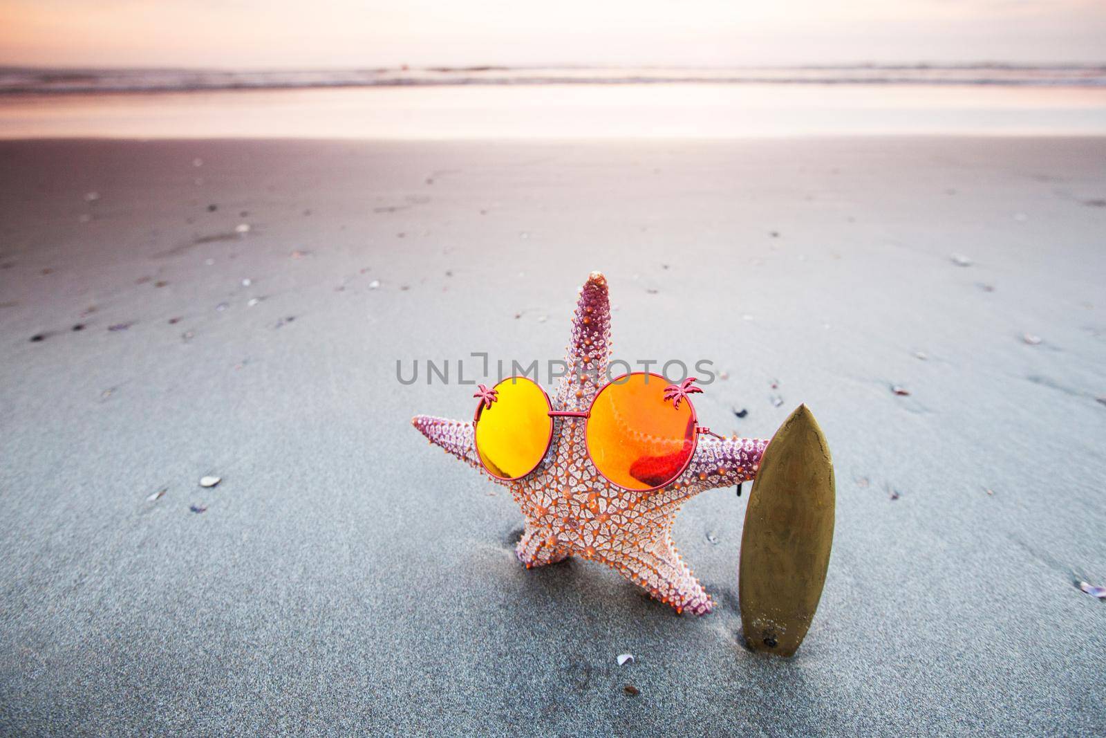 Starfish surfer on beach by Yellowj