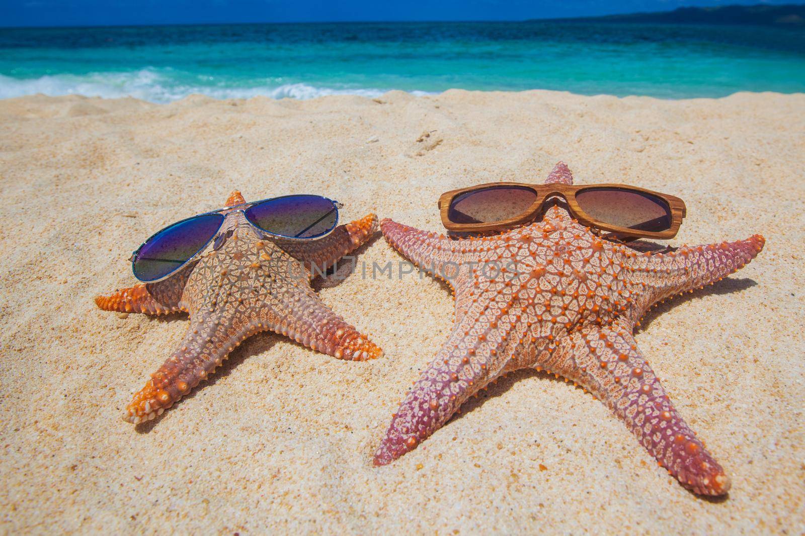 Starfish with sunglasses on sand of tropical beach at Philippines