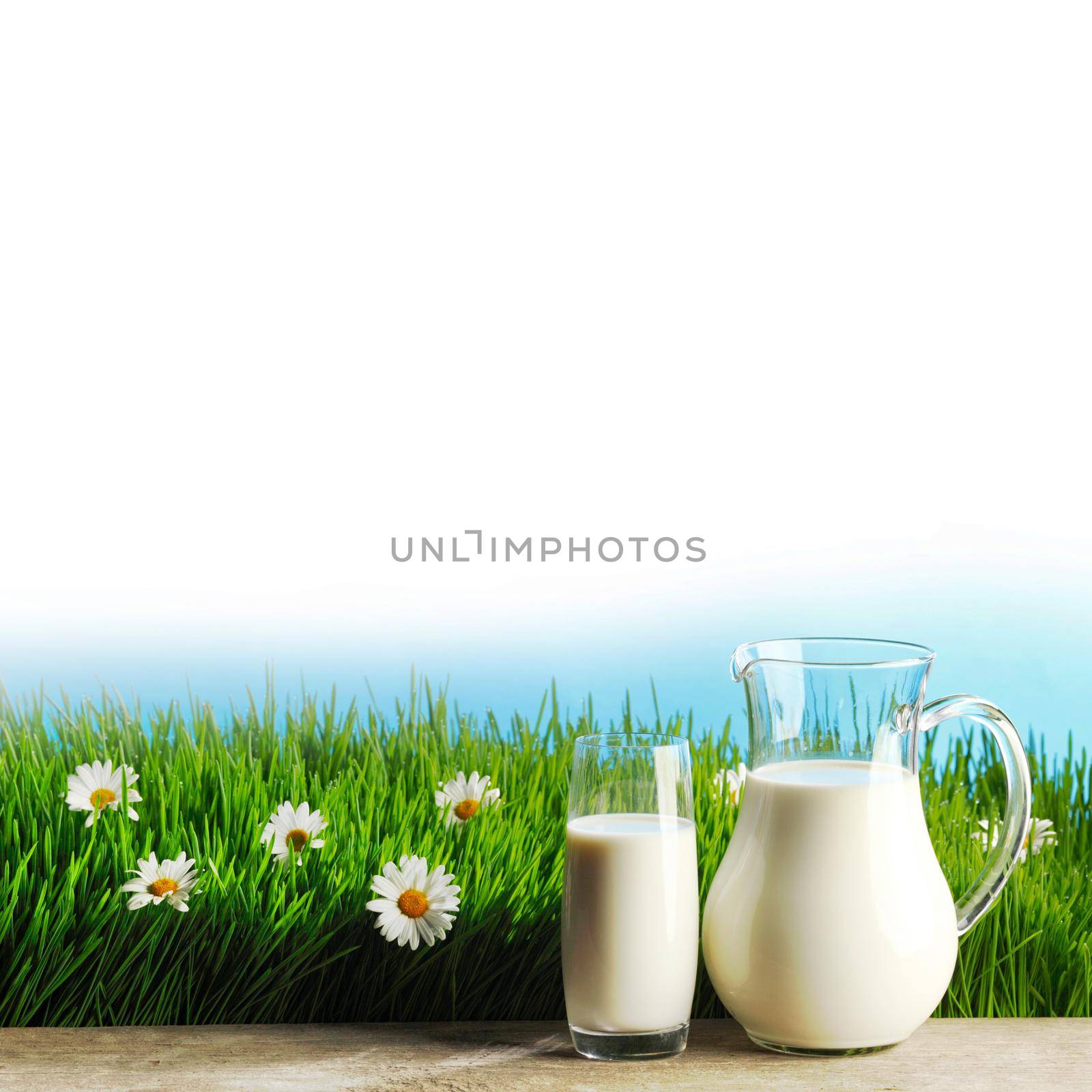 Glass of milk and jar on fresh grass meadow with chamomiles