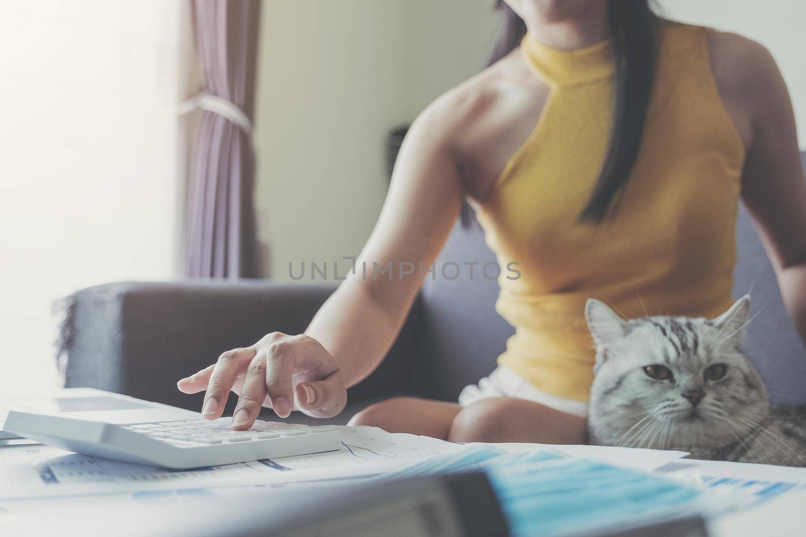 Cat on a sofa and a woman working from home with use calculator. Coronavirus outbreak, stay at home and social distancing concept. by wichayada