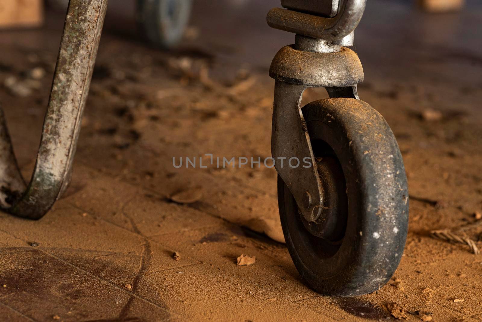 Detail of the wheel of a cart in an abandoned place, Evocative image of an abandoned place