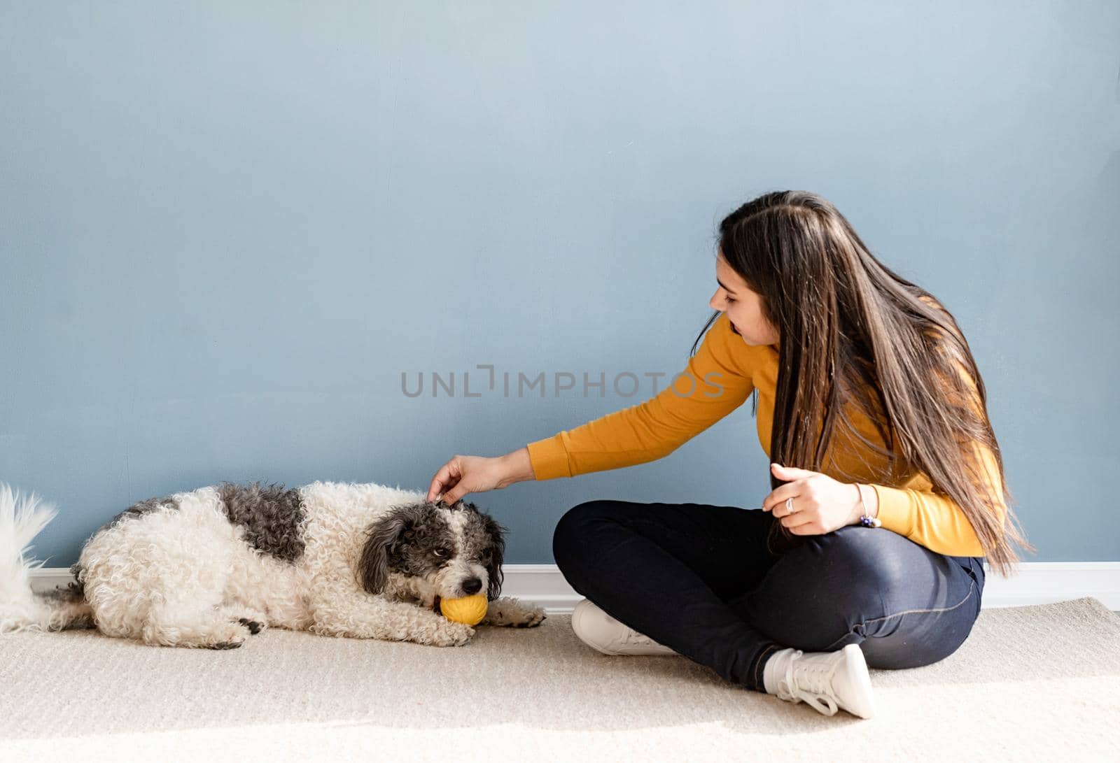 Beautiful brunette woman with playful mixed breed dog, playing and having fun at home