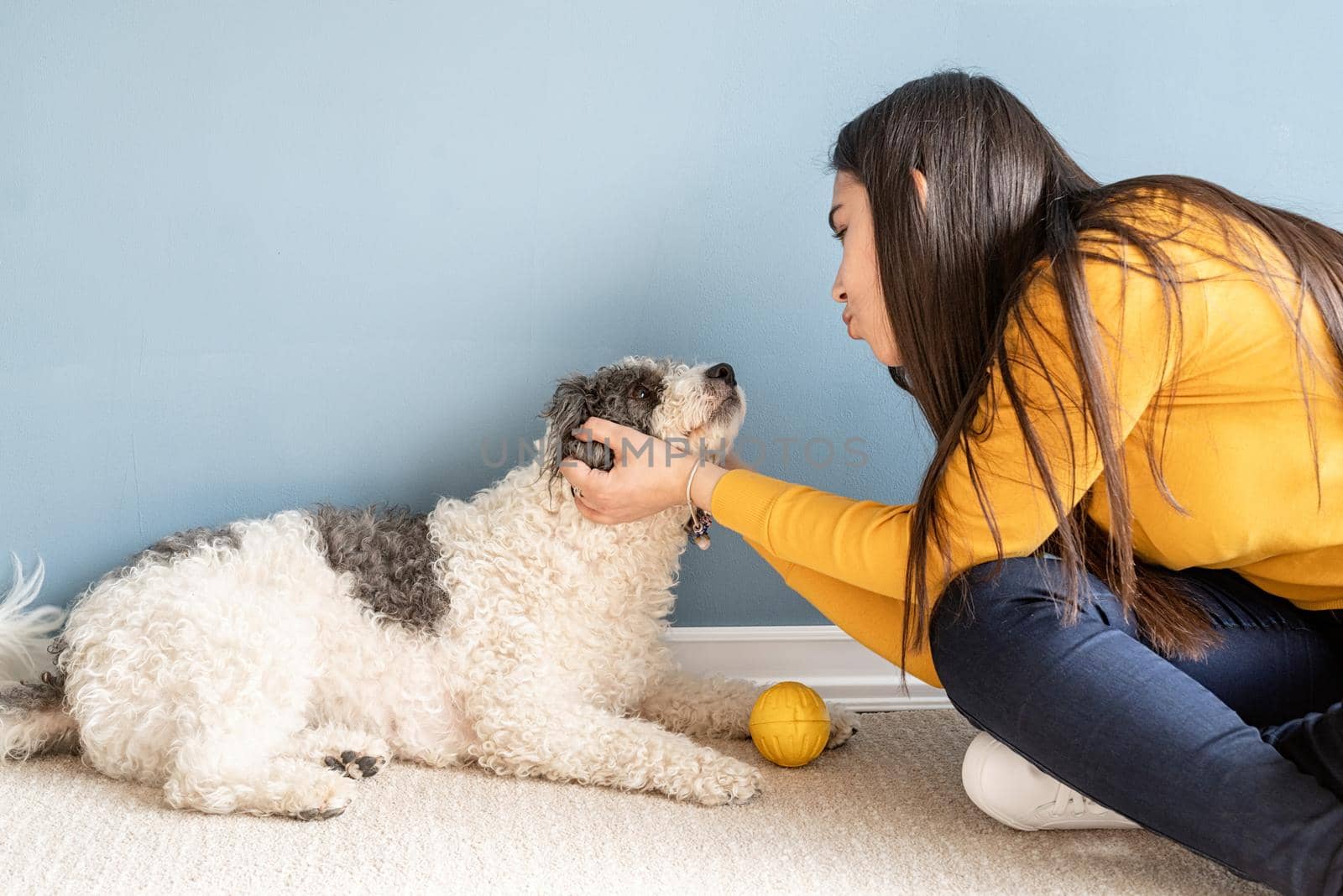 Beautiful woman with playful young dog having fun at home by Desperada