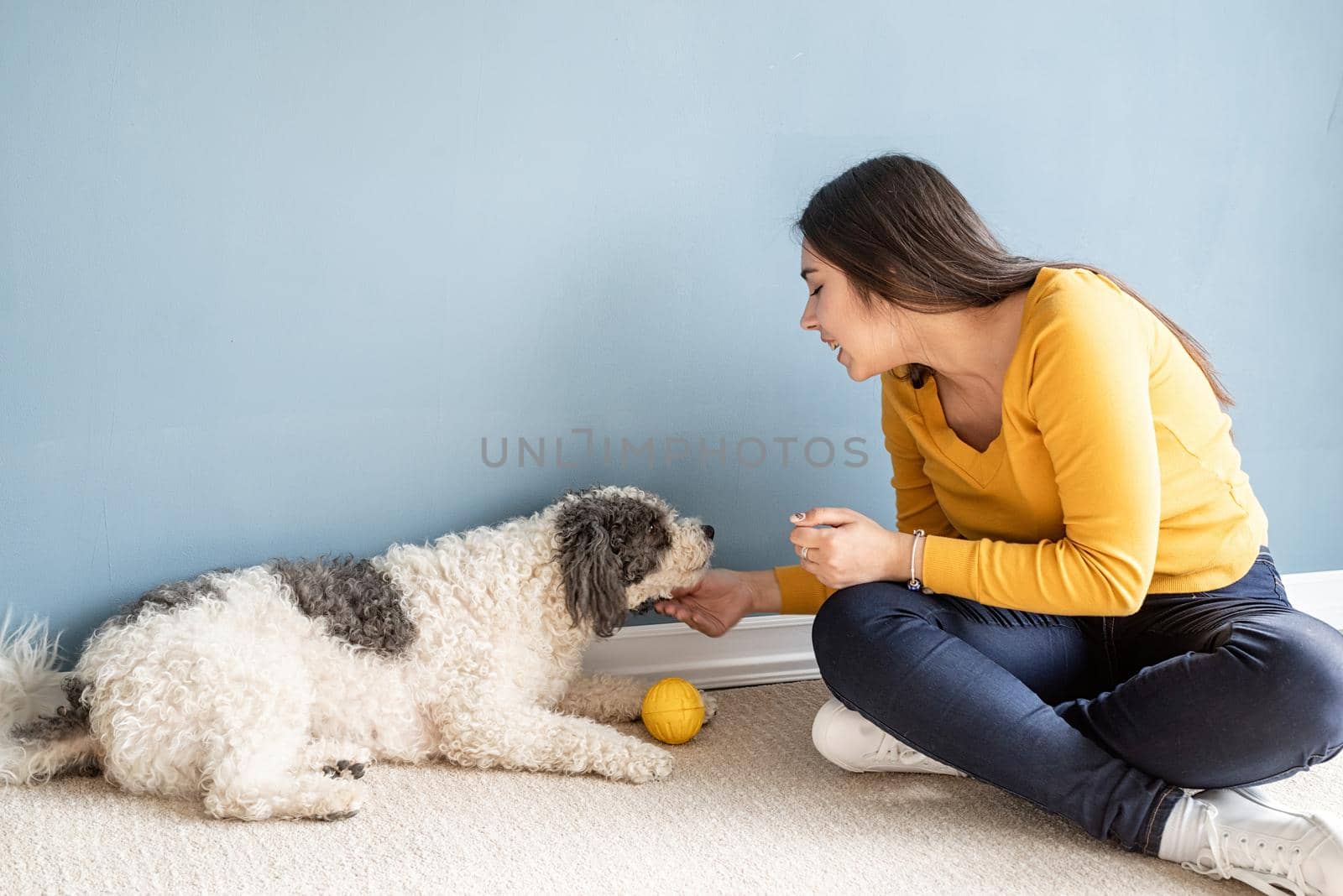 Beautiful woman with playful young dog having fun at home by Desperada