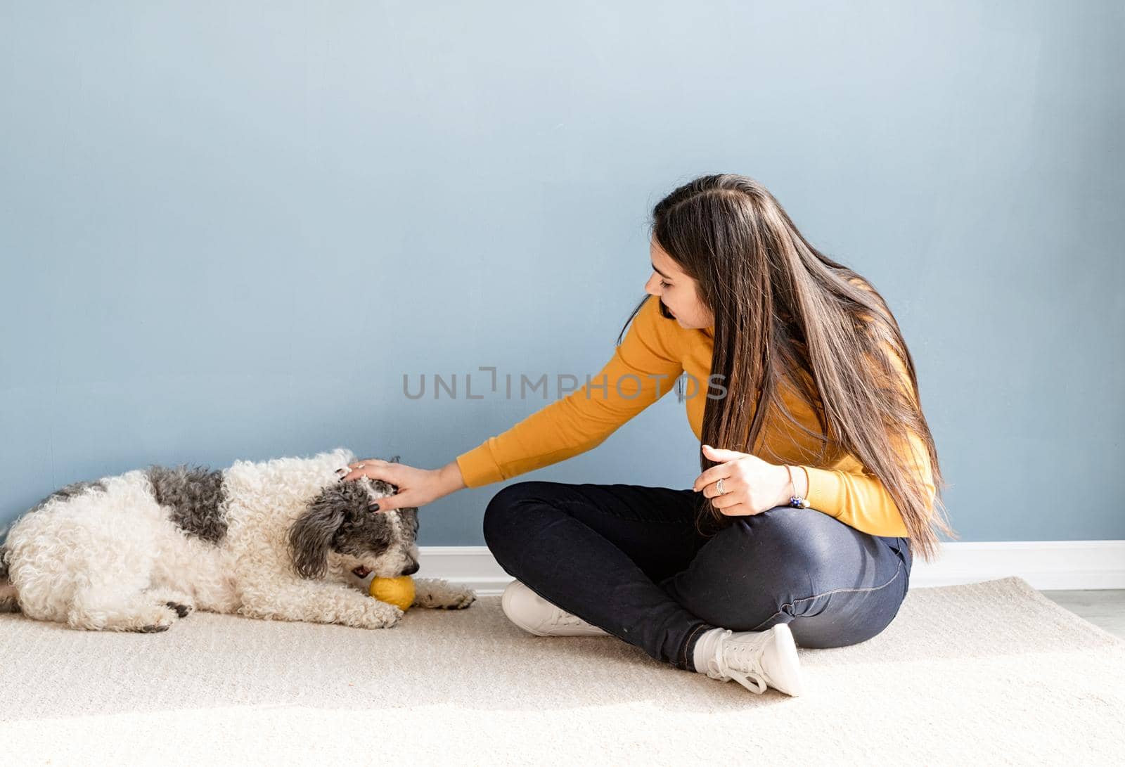 Beautiful woman with playful young dog having fun at home by Desperada