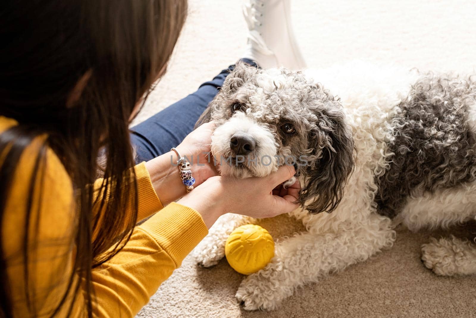 Beautiful brunette woman with playful mixed breed dog, playing and having fun at home