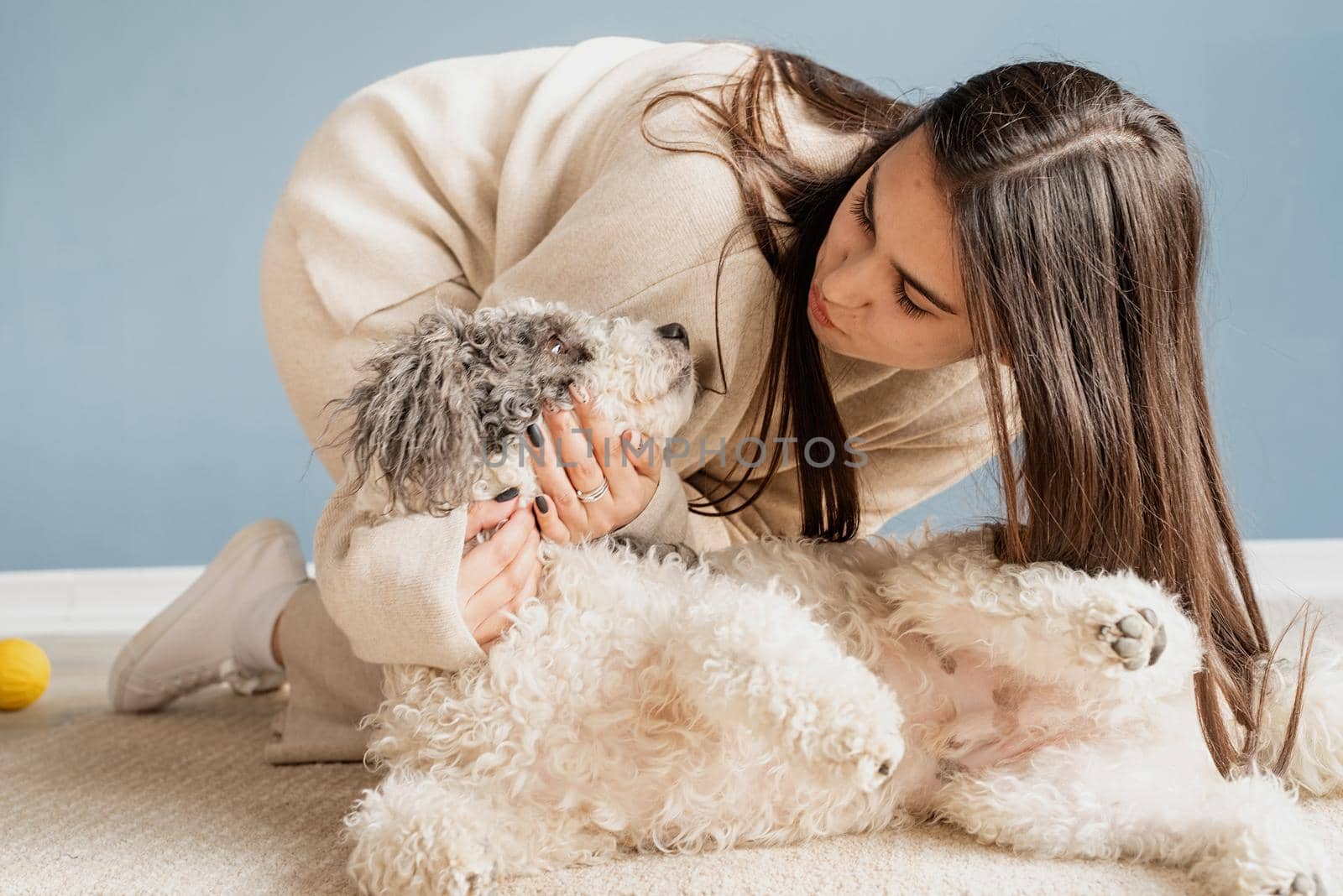 Beautiful woman with playful dog embracing at home by Desperada